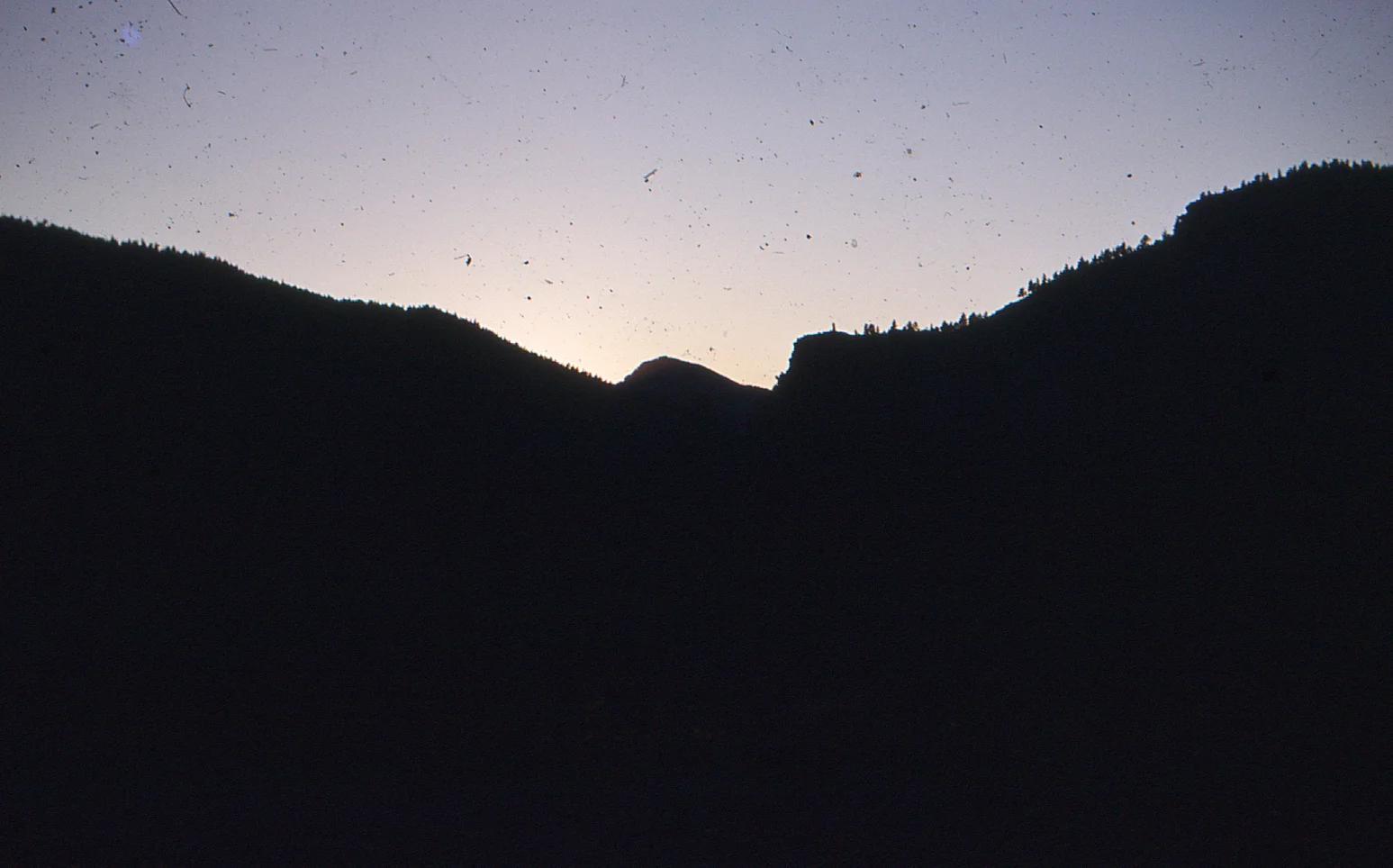 img031.jpg
