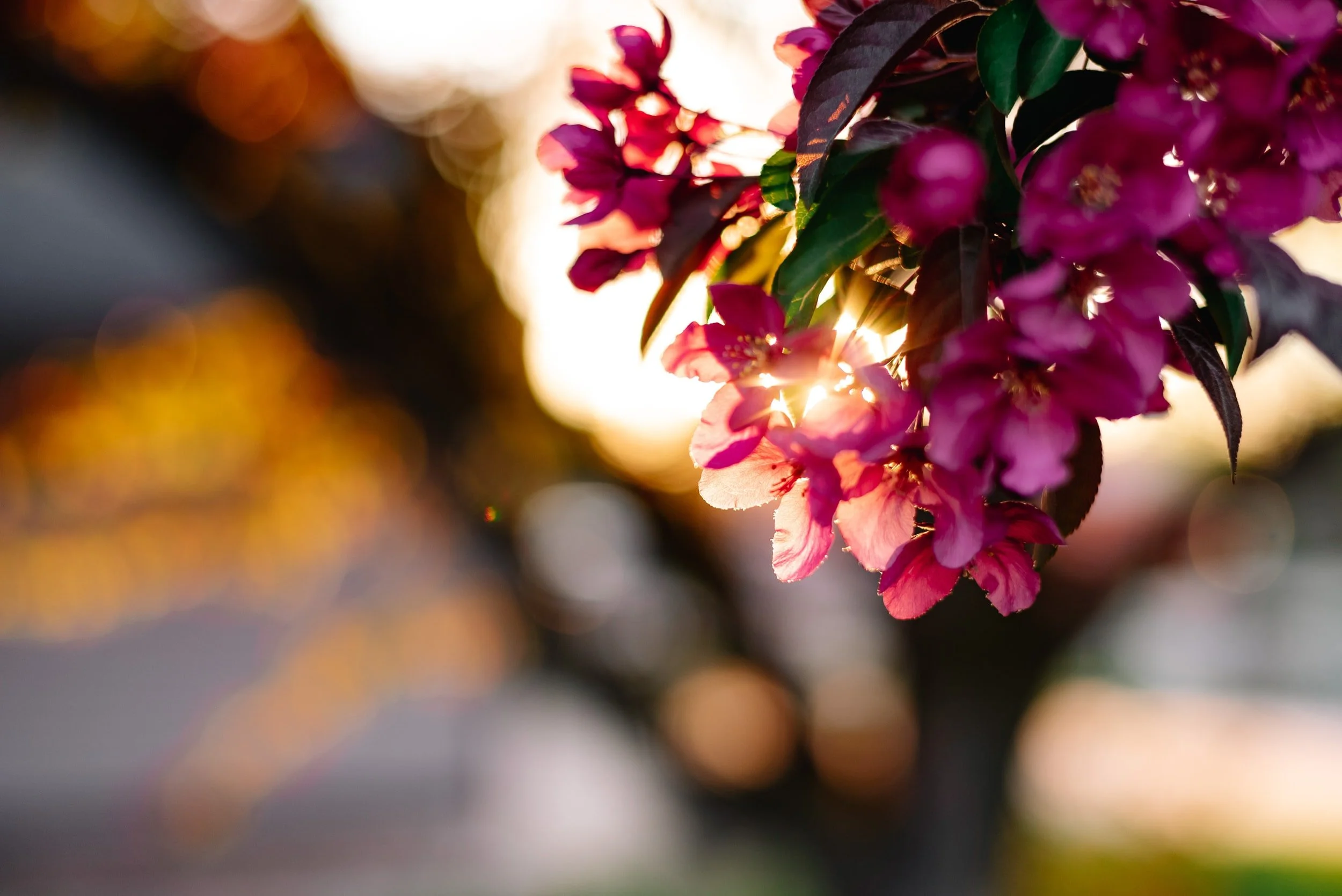 unsplash-image-fxNtmZ2Ubic.jpg