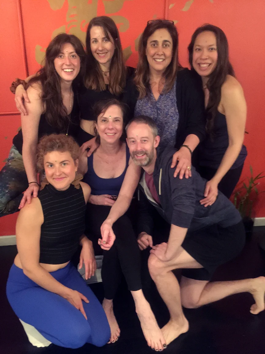 2016 300 Hour ISHTA Teacher Training Mentoring Group