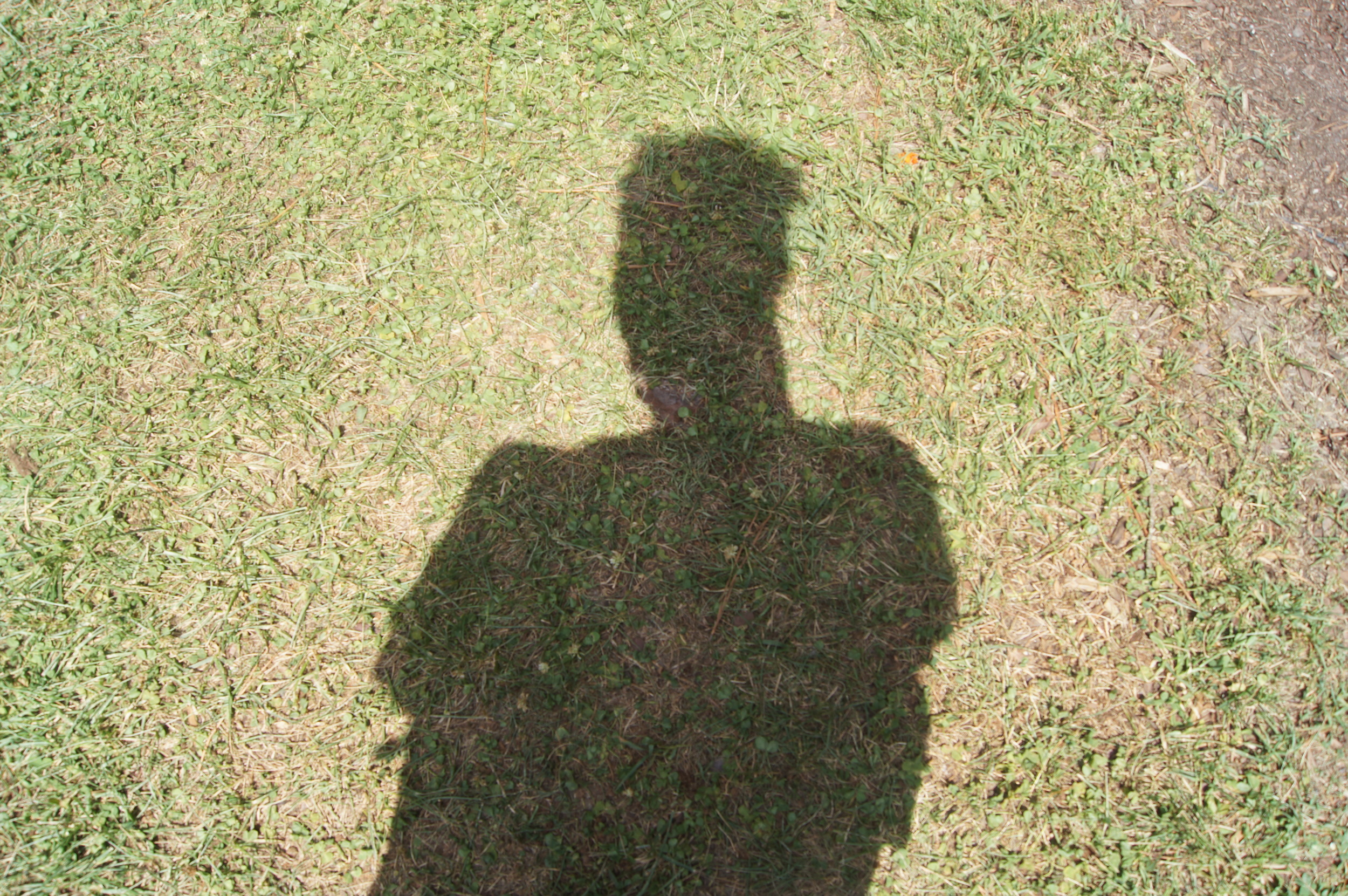 me and my shadow