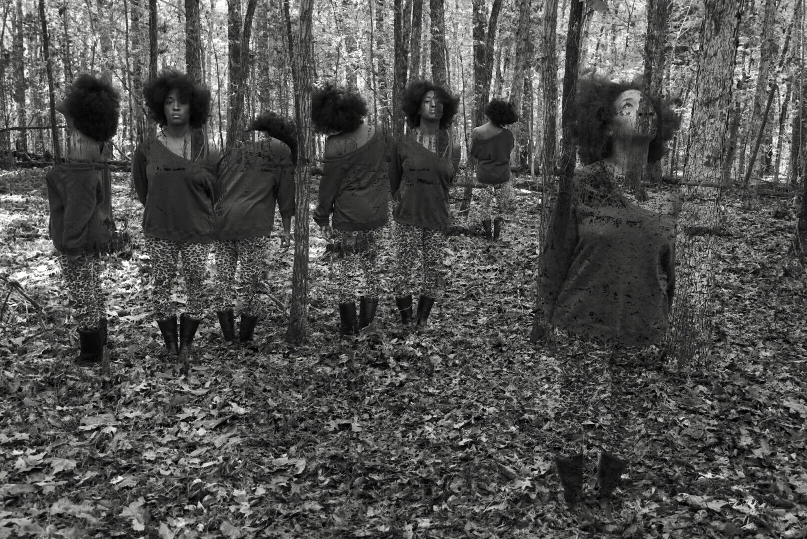 let the trees tell it .jpg