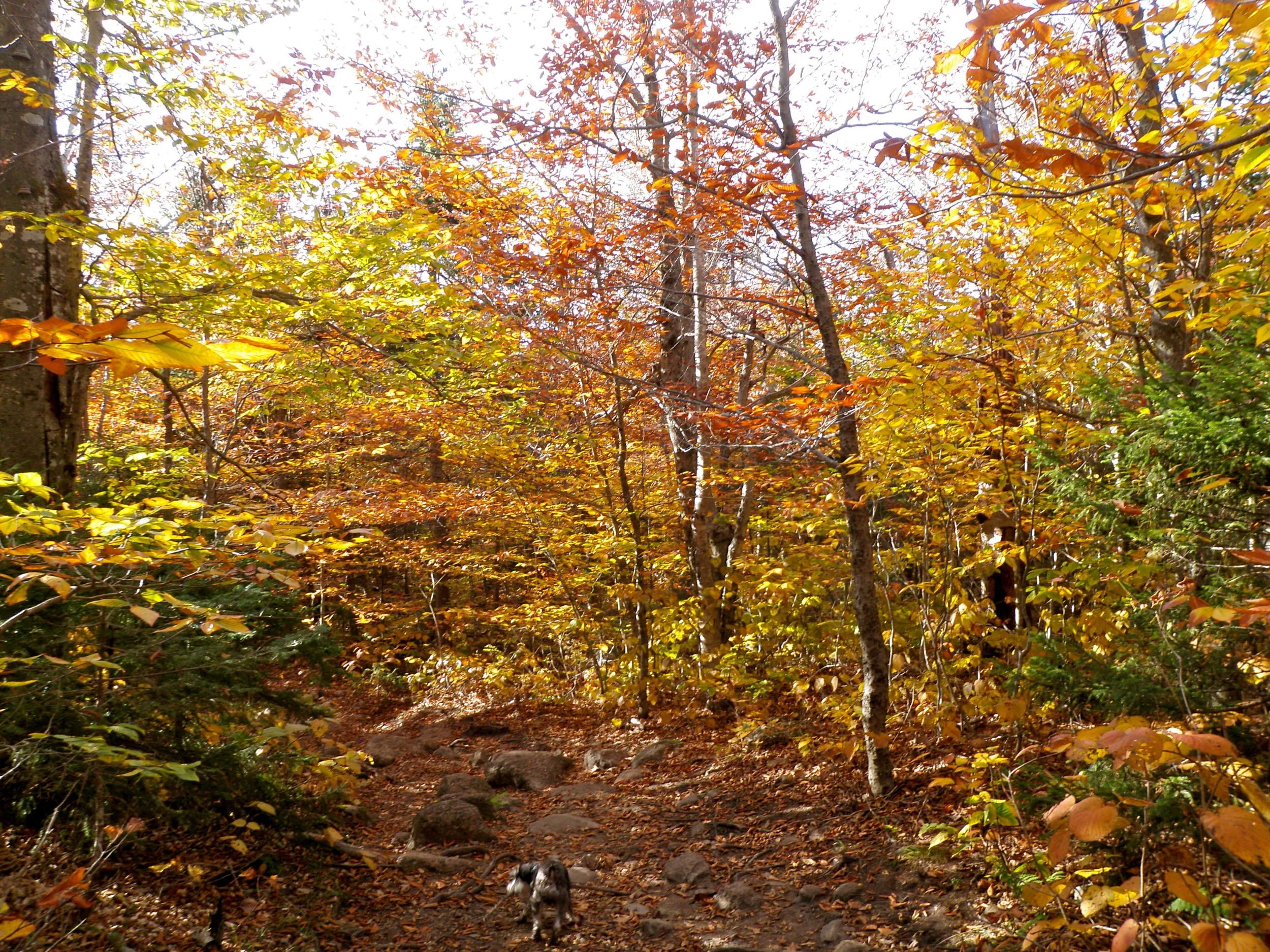 PA032464.JPG