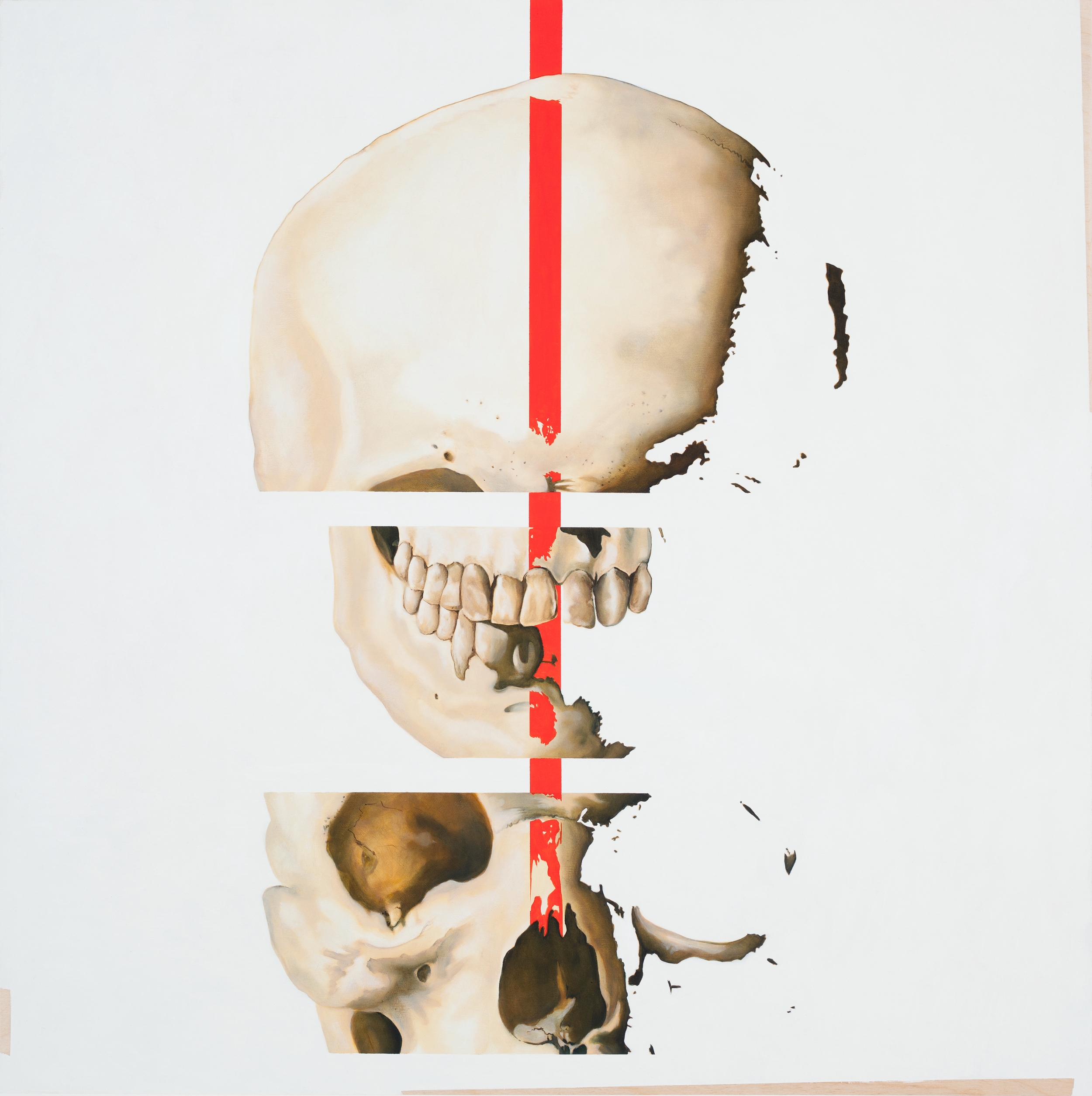 CUT AND PASTE (DIGITAL ENTROPY)