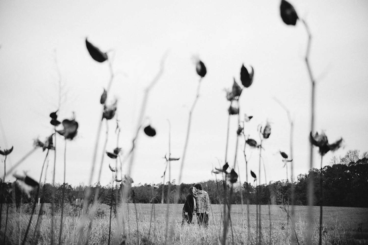 laurenvallen_portrait-36.jpg