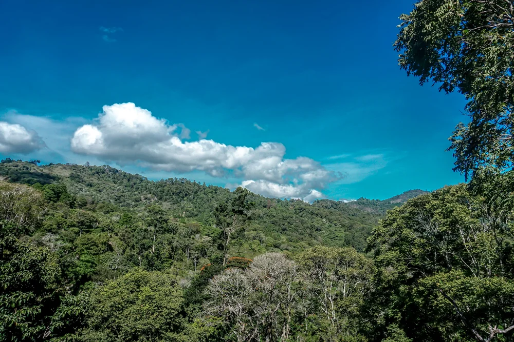 La vista desde el café