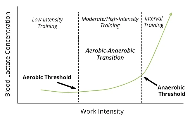 Work Intensity is directly reflected by Heart rate & to a degree Pace/Speed. Training at lower intensity, and lower speeds around your aerobic threshold will ensure you develop this system effectively. 