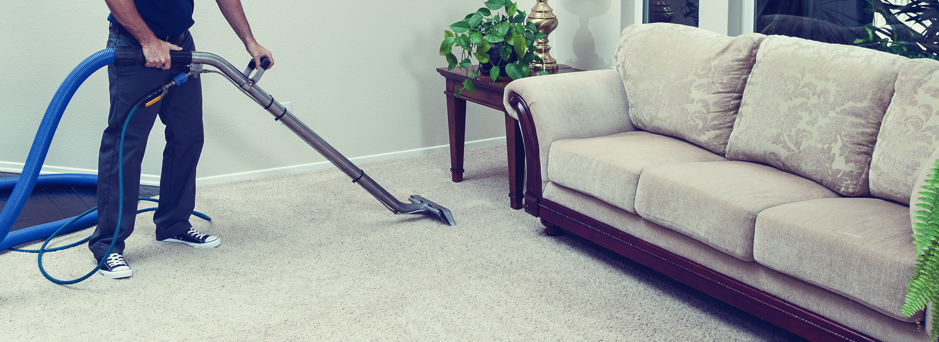 Gold Coast Carpet Cleaning