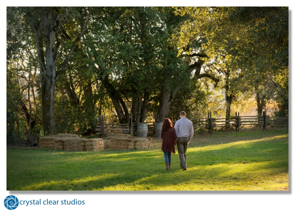 engagement-crystalclearstudios.jpg