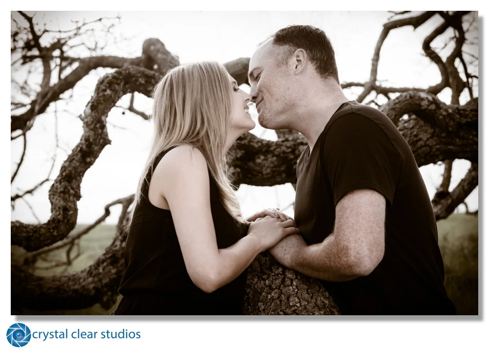 engagement-crystalclearstudios.jpg