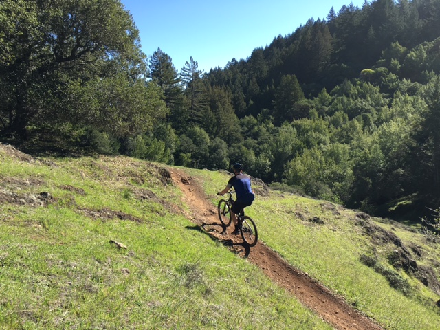 Marin Trail.JPG