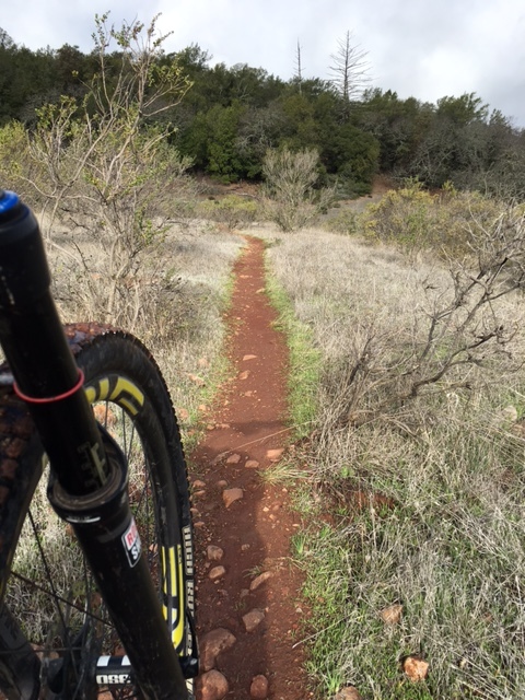 Sonoma Trail.JPG