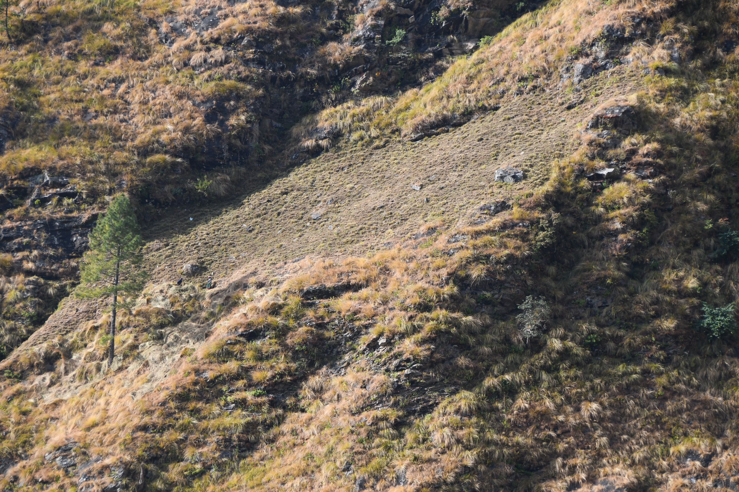 DSC_1182.jpg