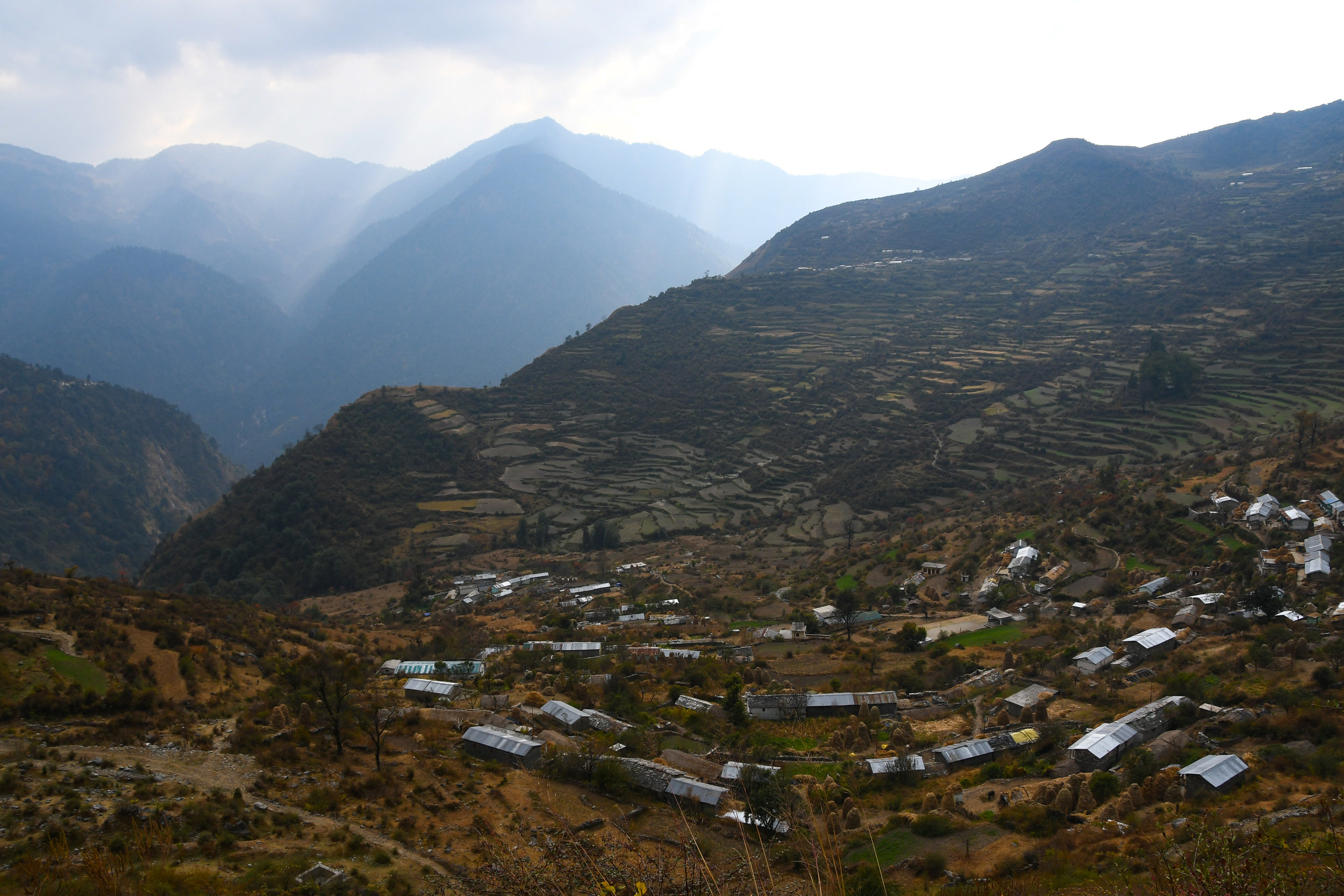 DSC_1555.jpg