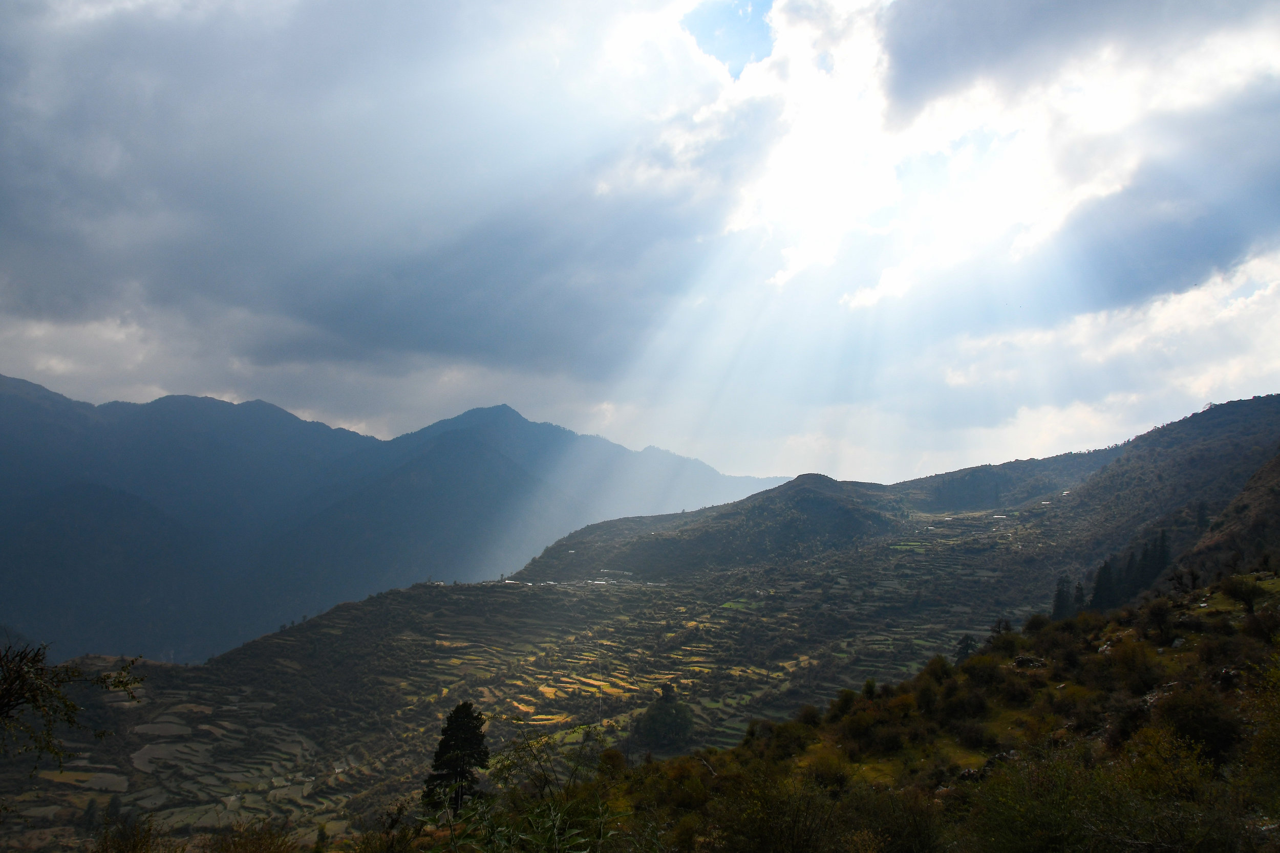 DSC_1566.jpg