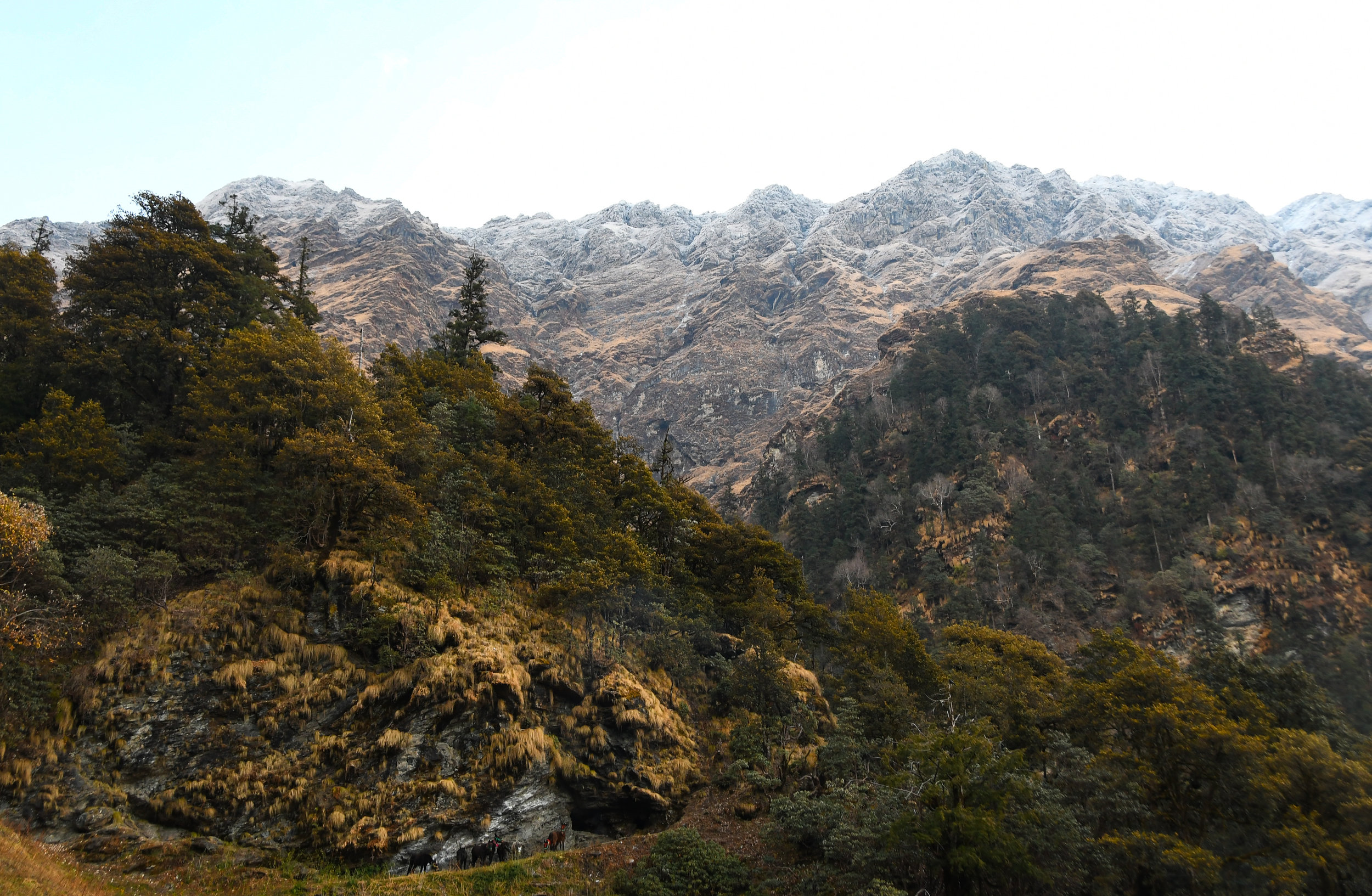 DSC_1729.jpg