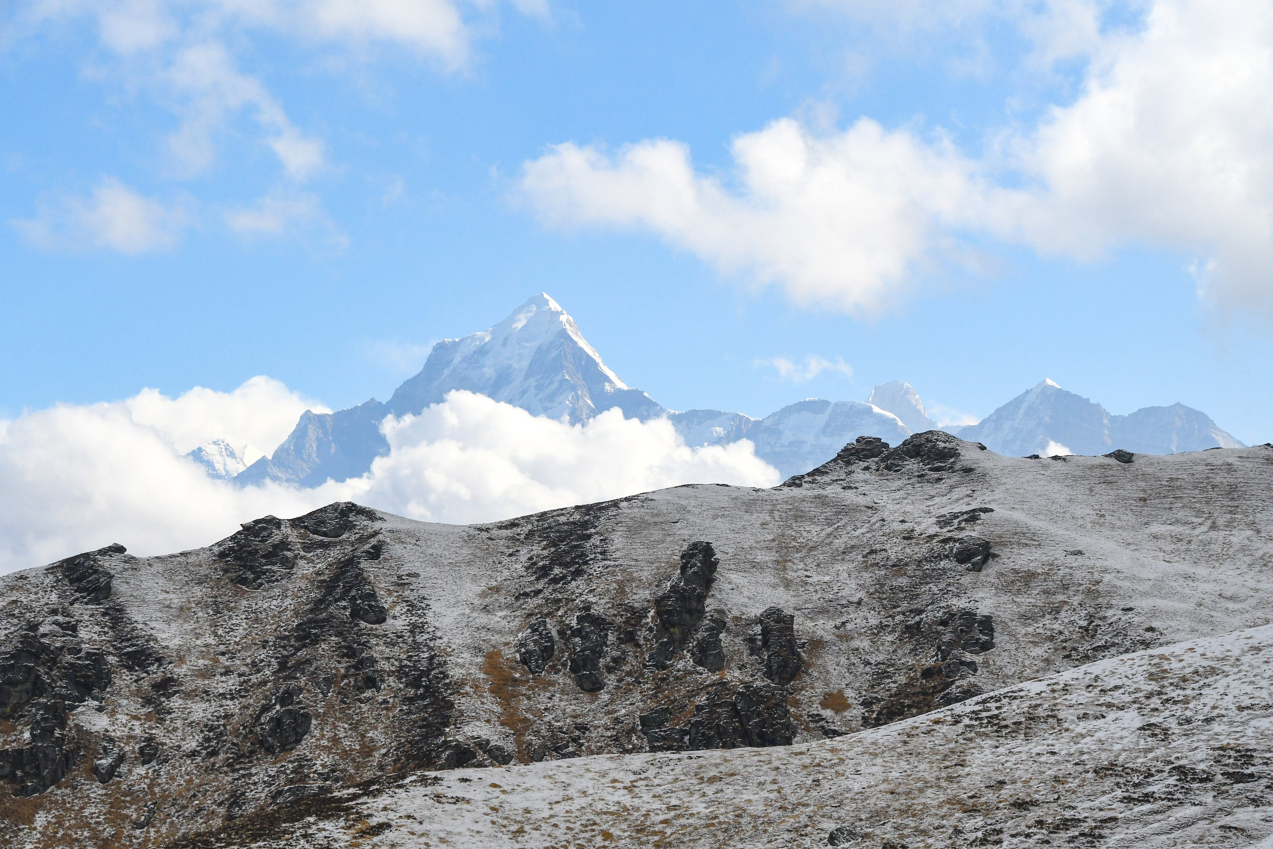 DSC_1865.jpg