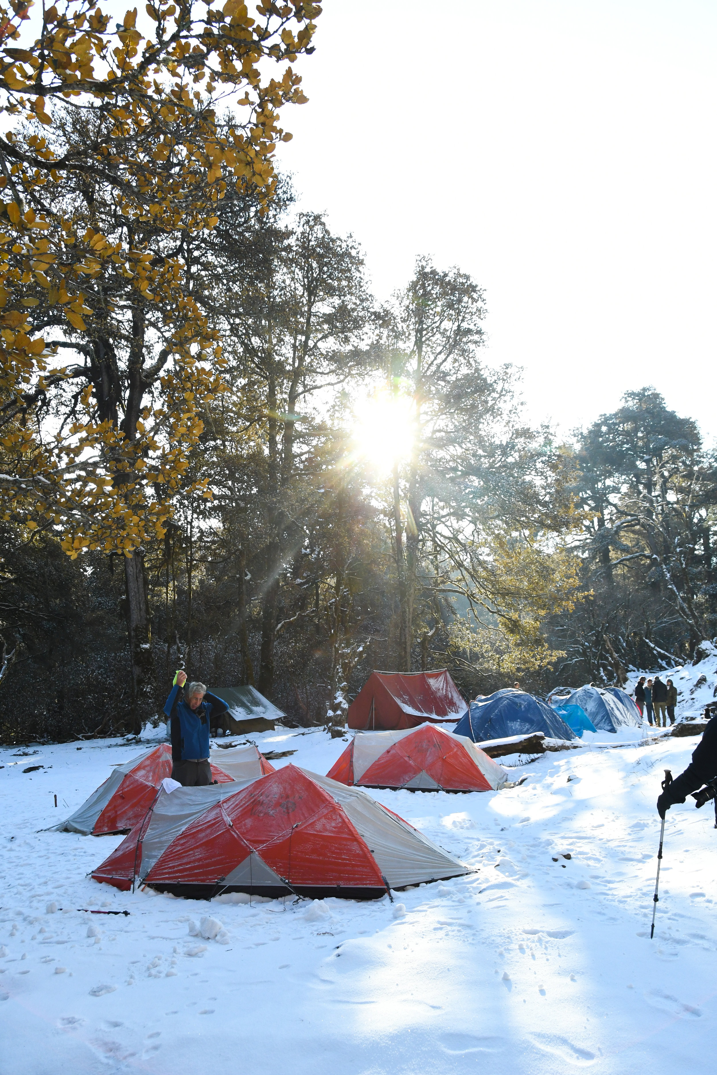 DSC_2242.jpg