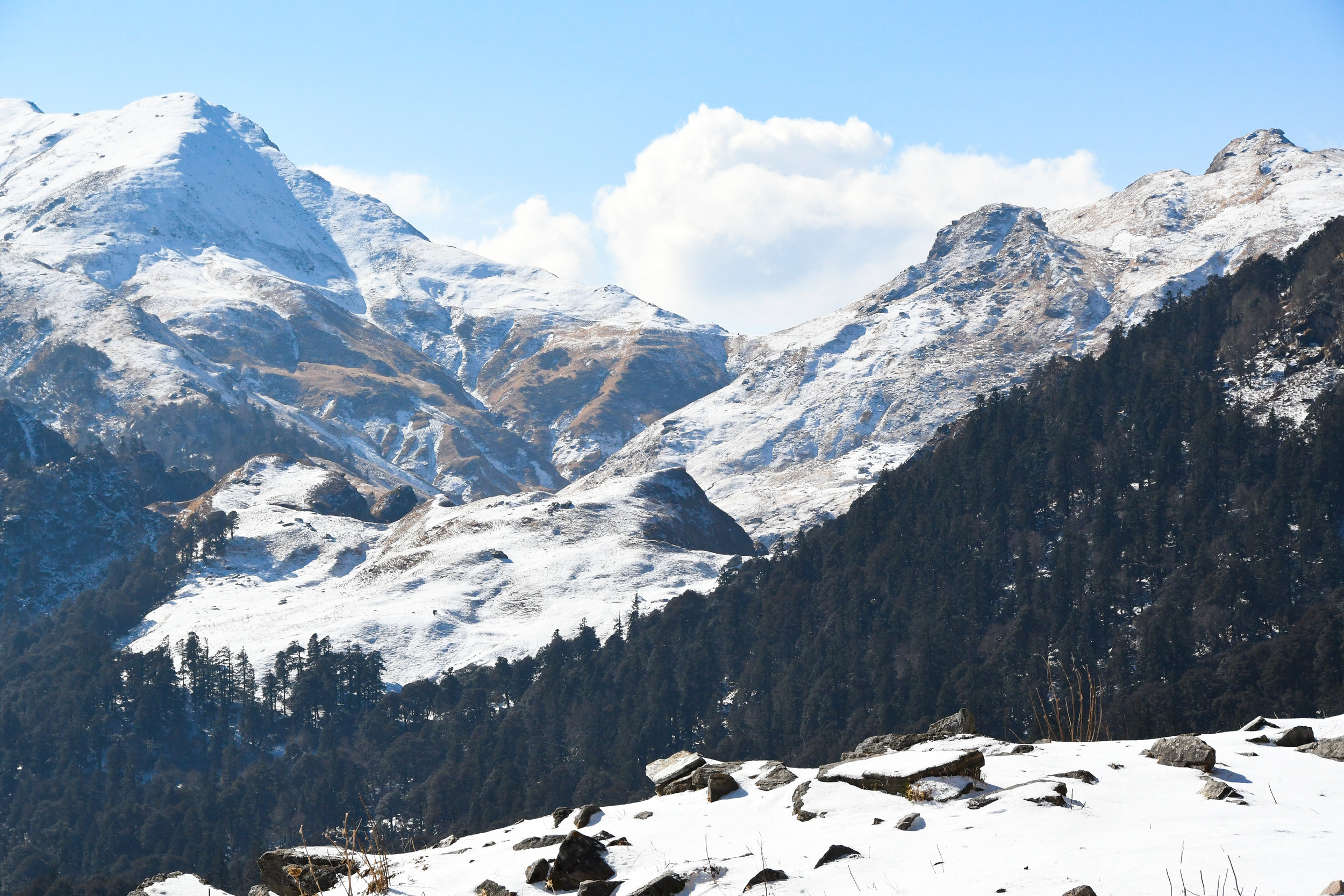DSC_2291.jpg