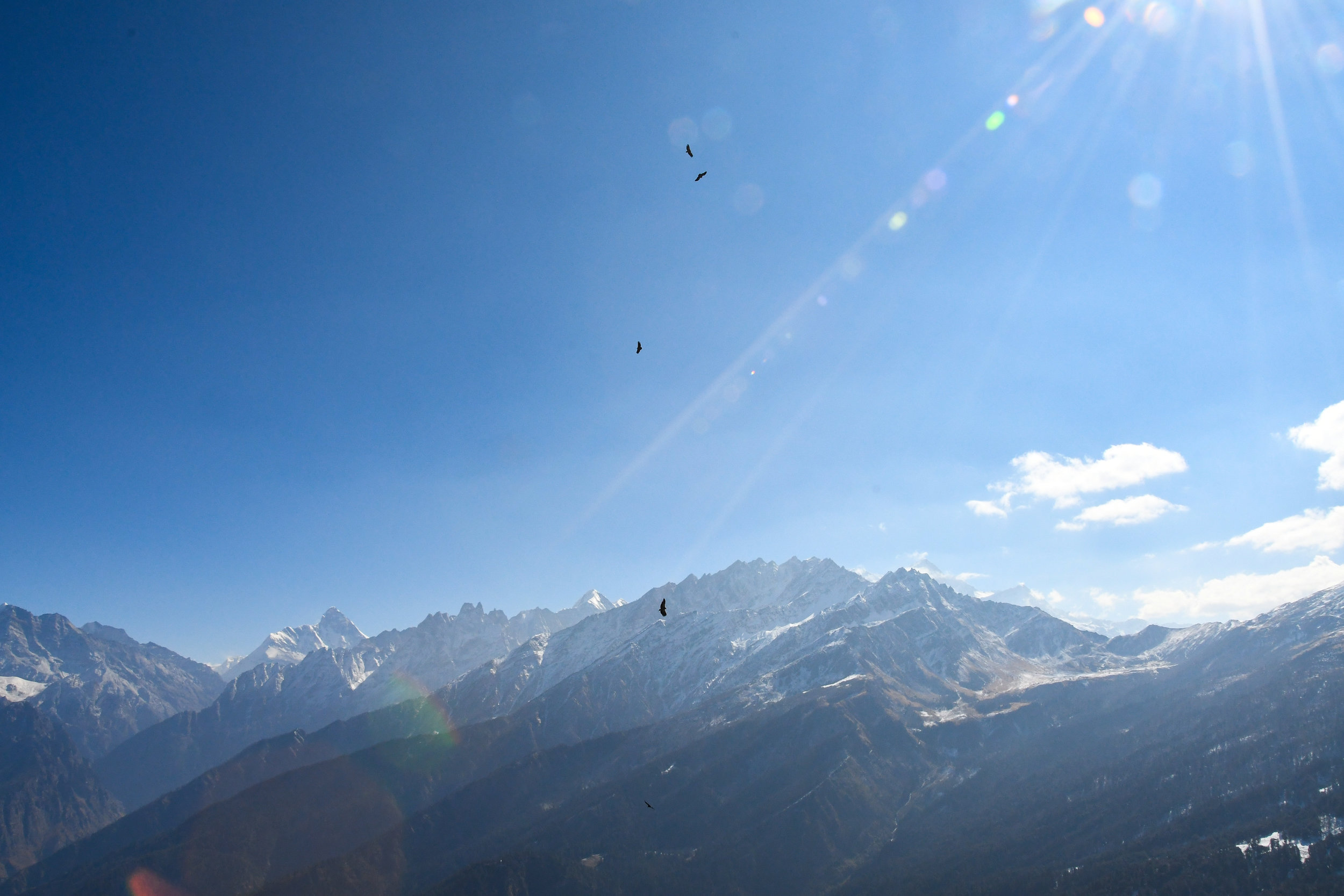 DSC_2370.jpg