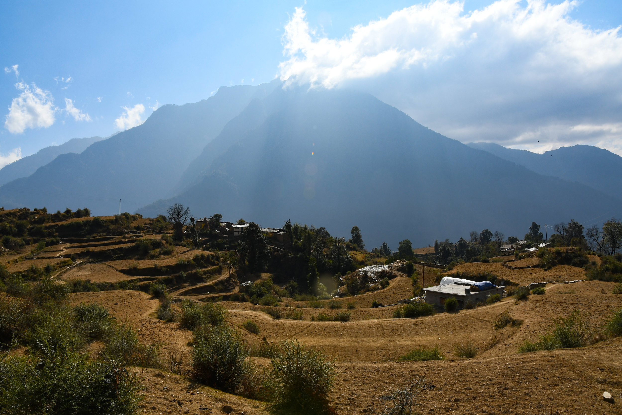 DSC_1256.jpg