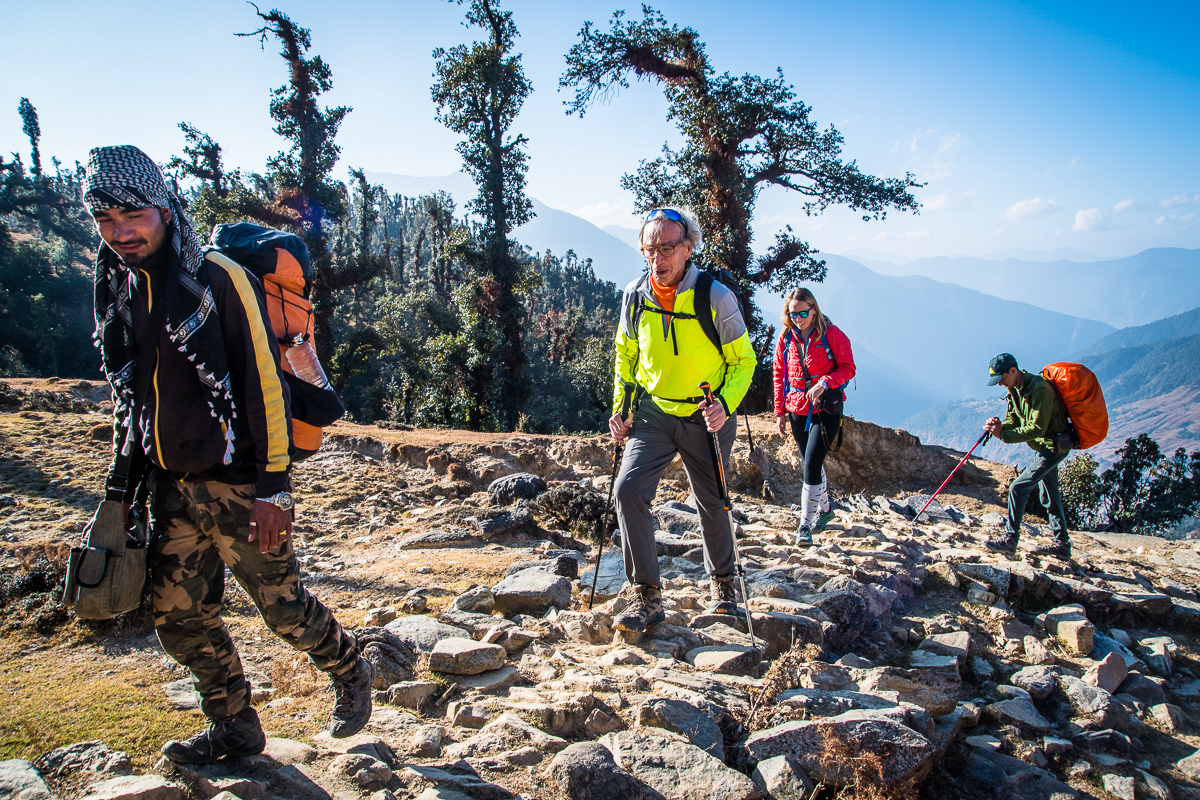 Kauri Pass Trek-4.jpg