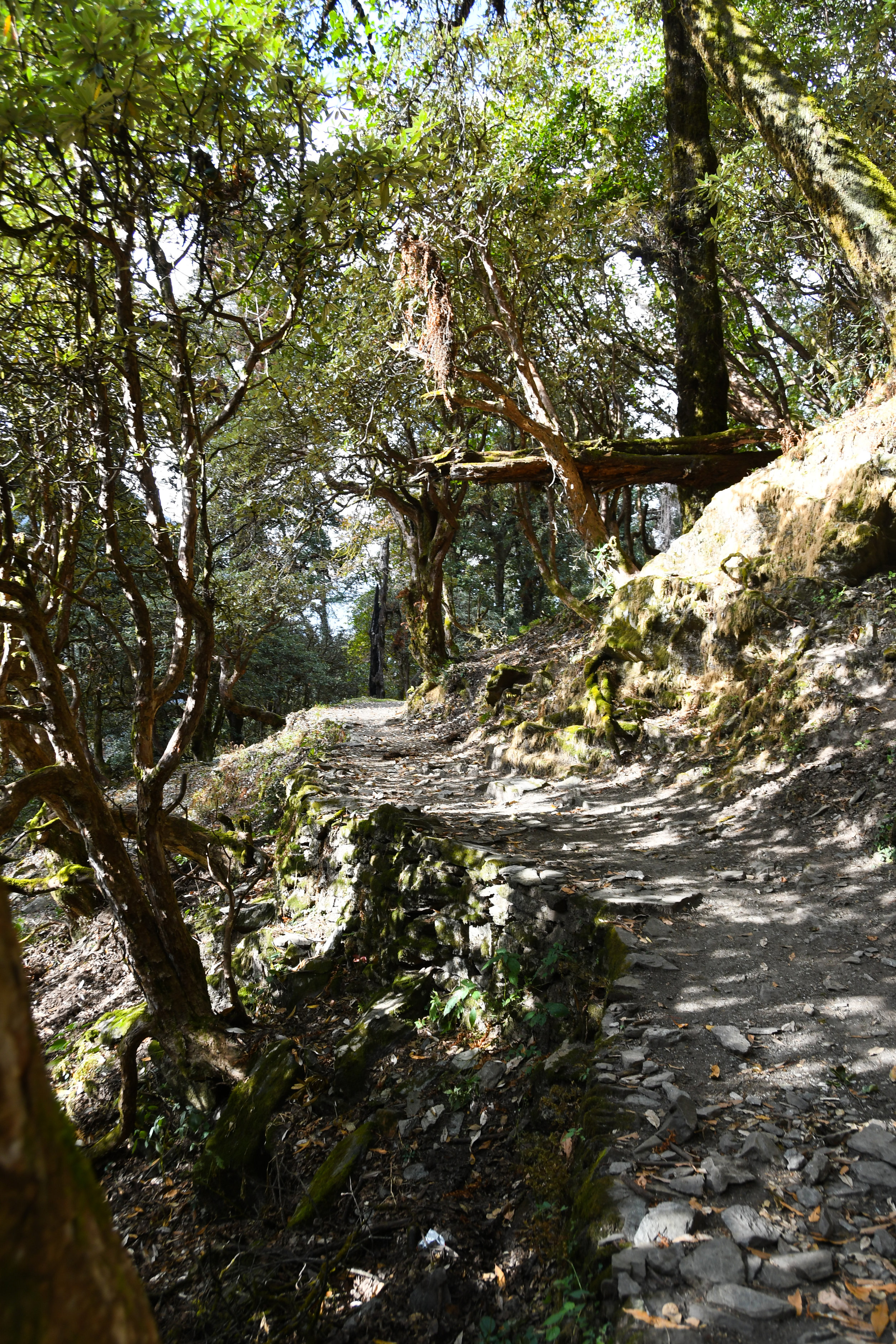 DSC_1404.jpg