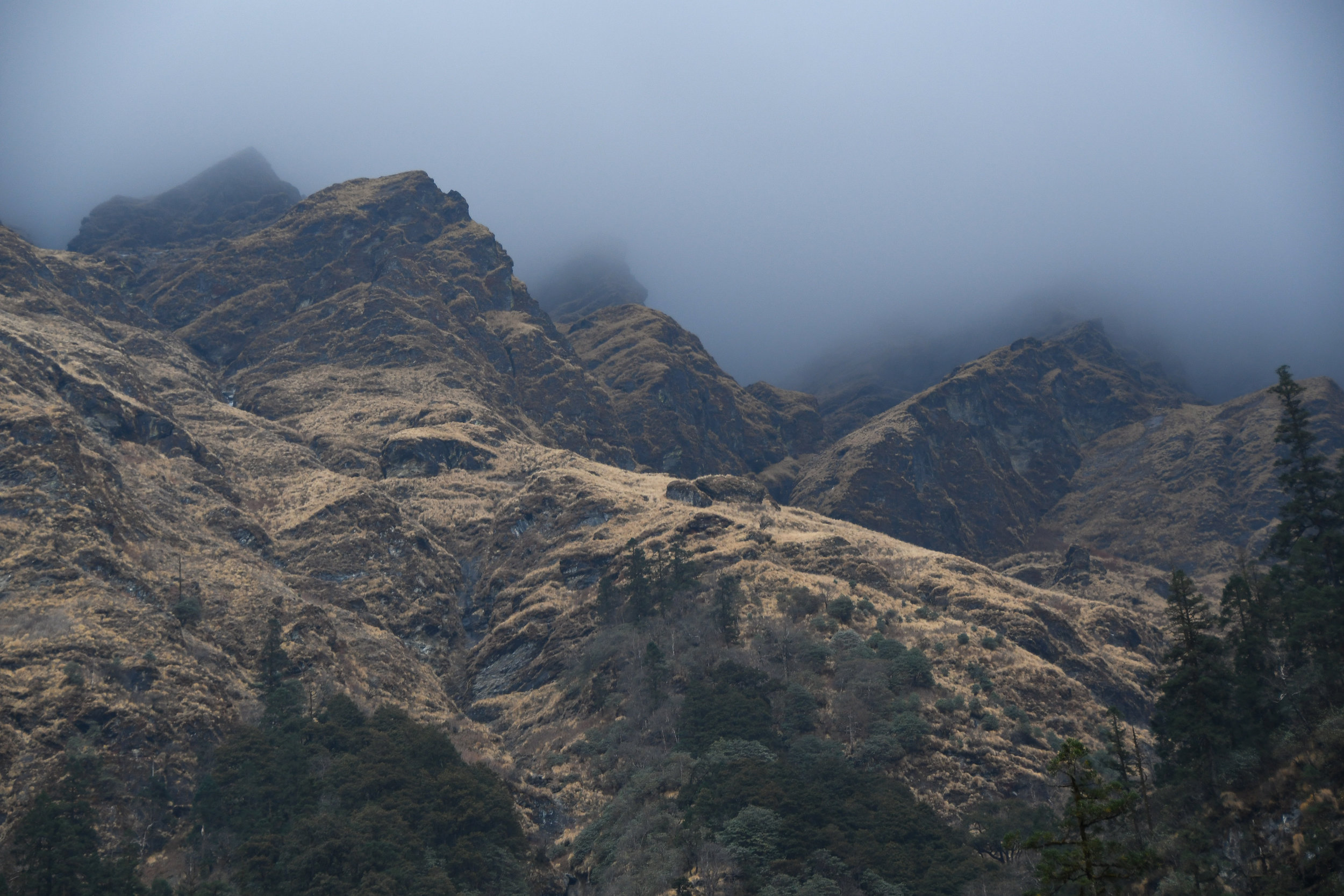 DSC_1705.jpg