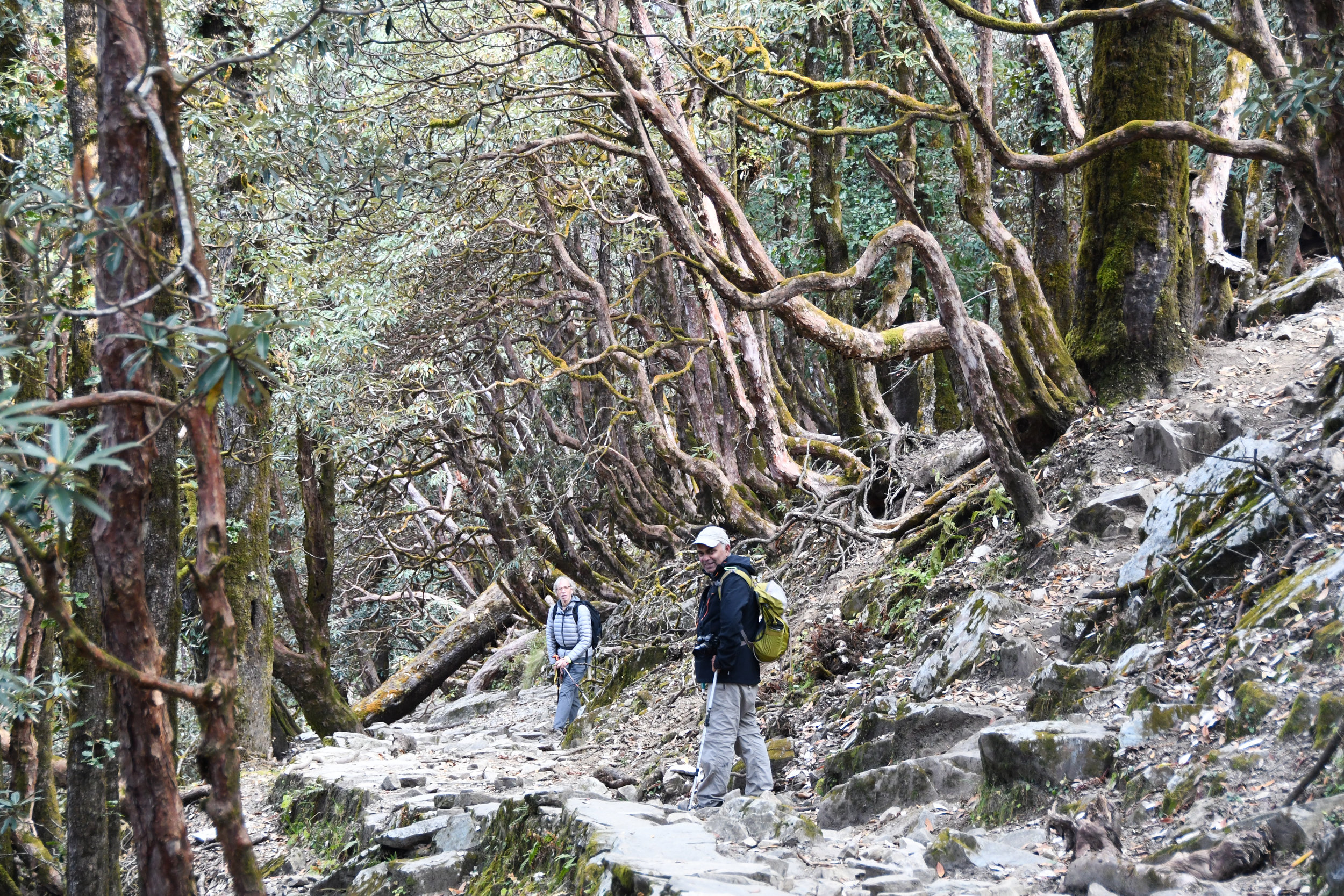 DSC_1637.jpg