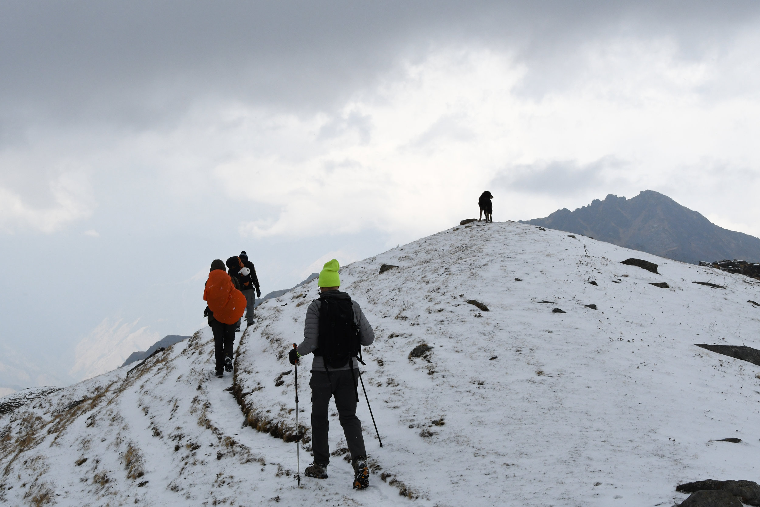 DSC_1968.jpg