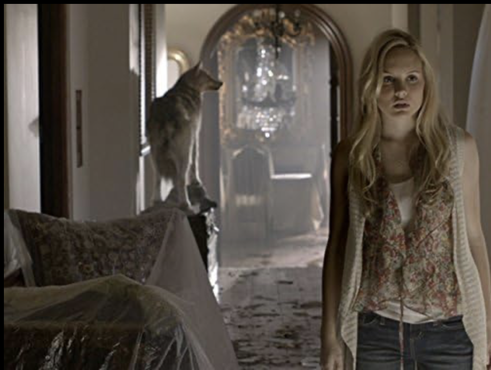 Screenshot 2026-01-23 at 9.53.47 PM.png