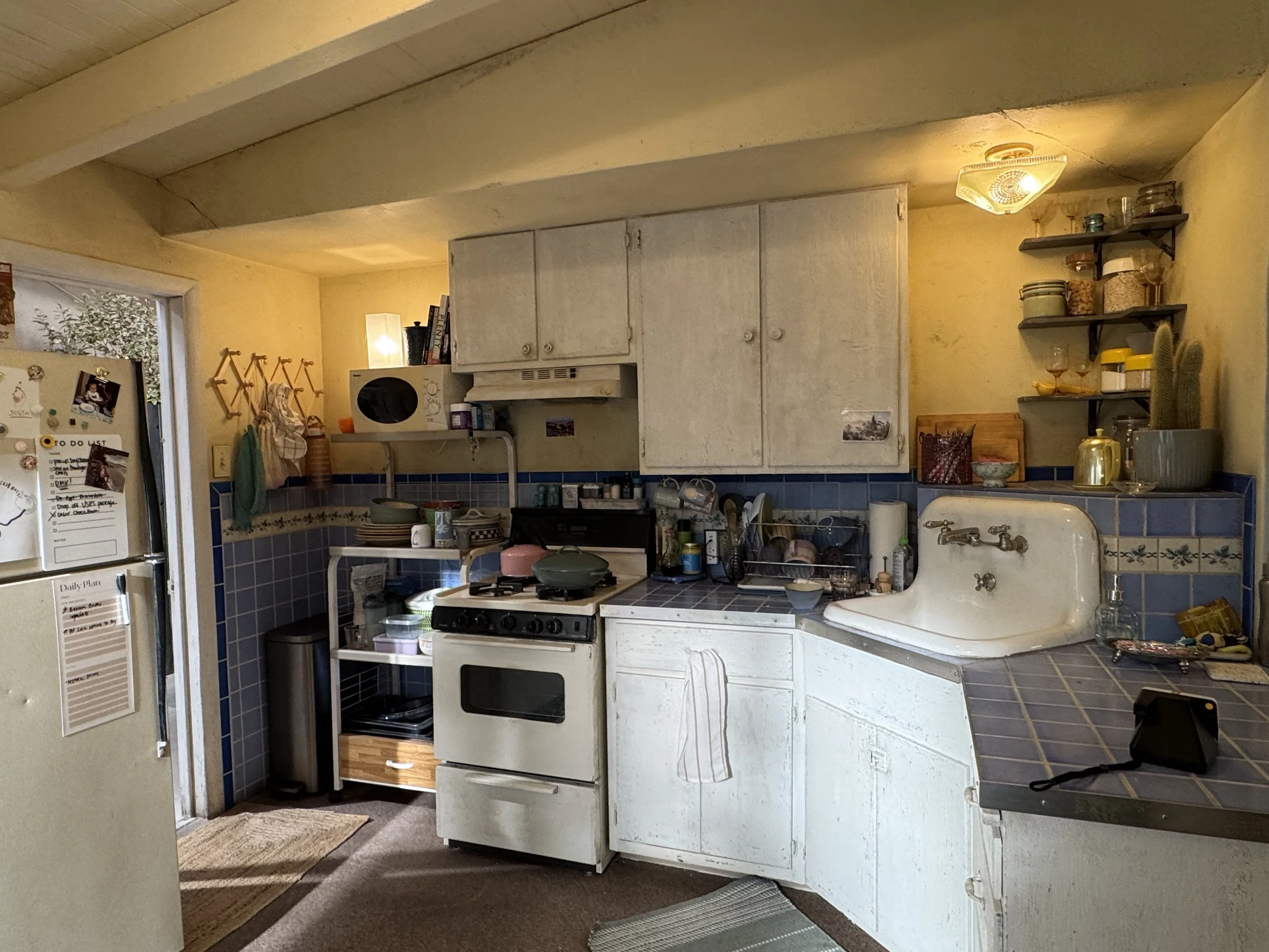 Photo Jan 23 2025, 7 28 10 AM copy.jpg