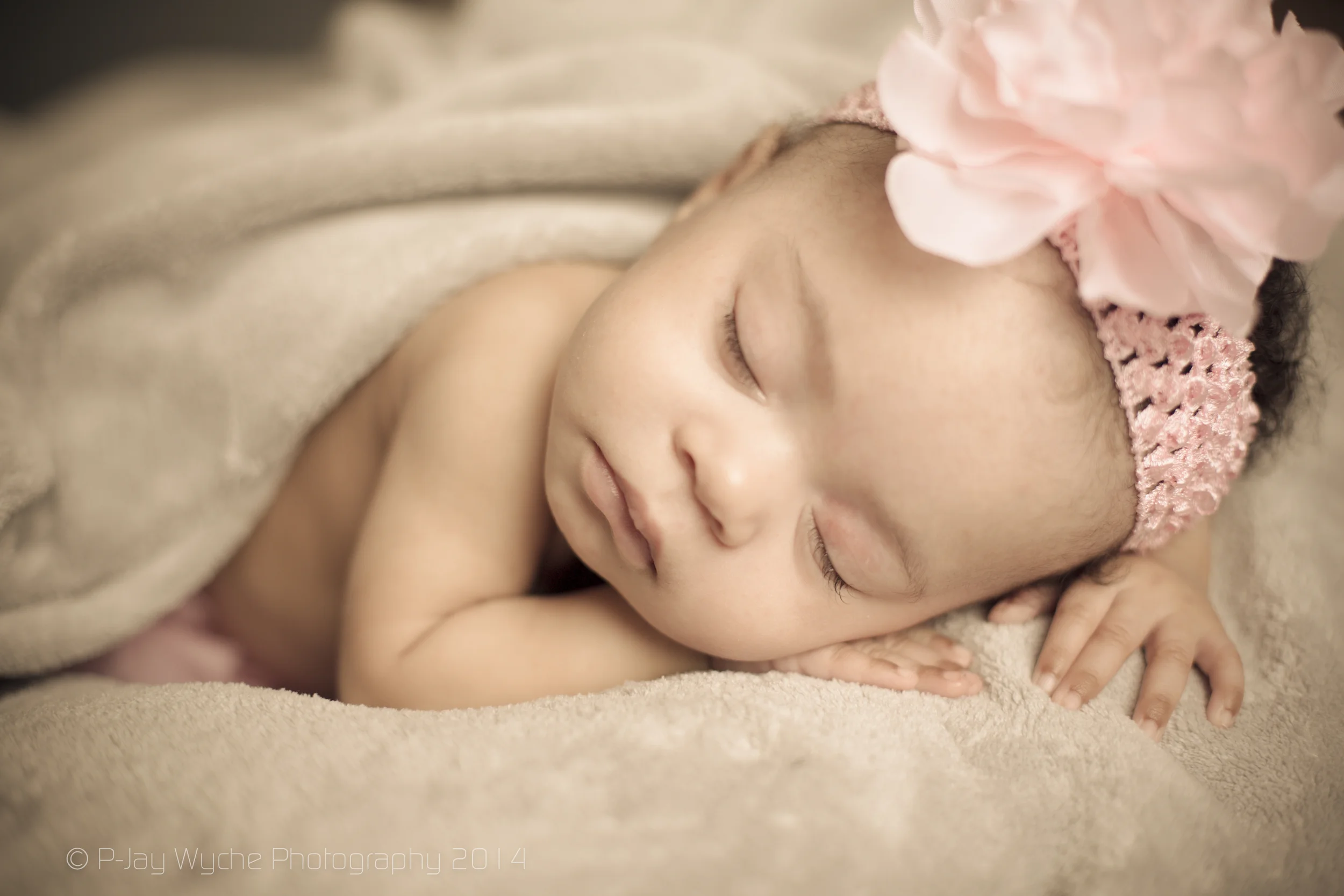 Charlisa Family Shoot - pjw-24.jpg
