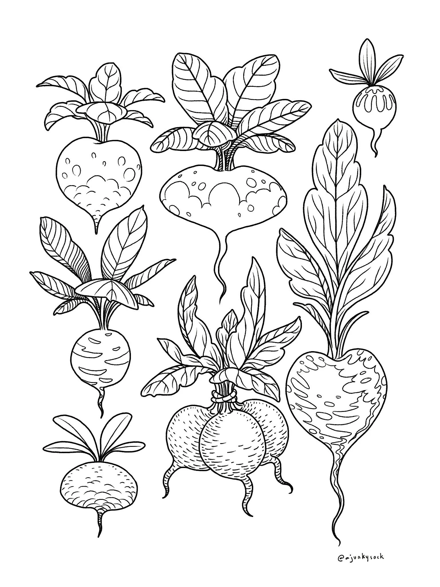 Rooty Variety
