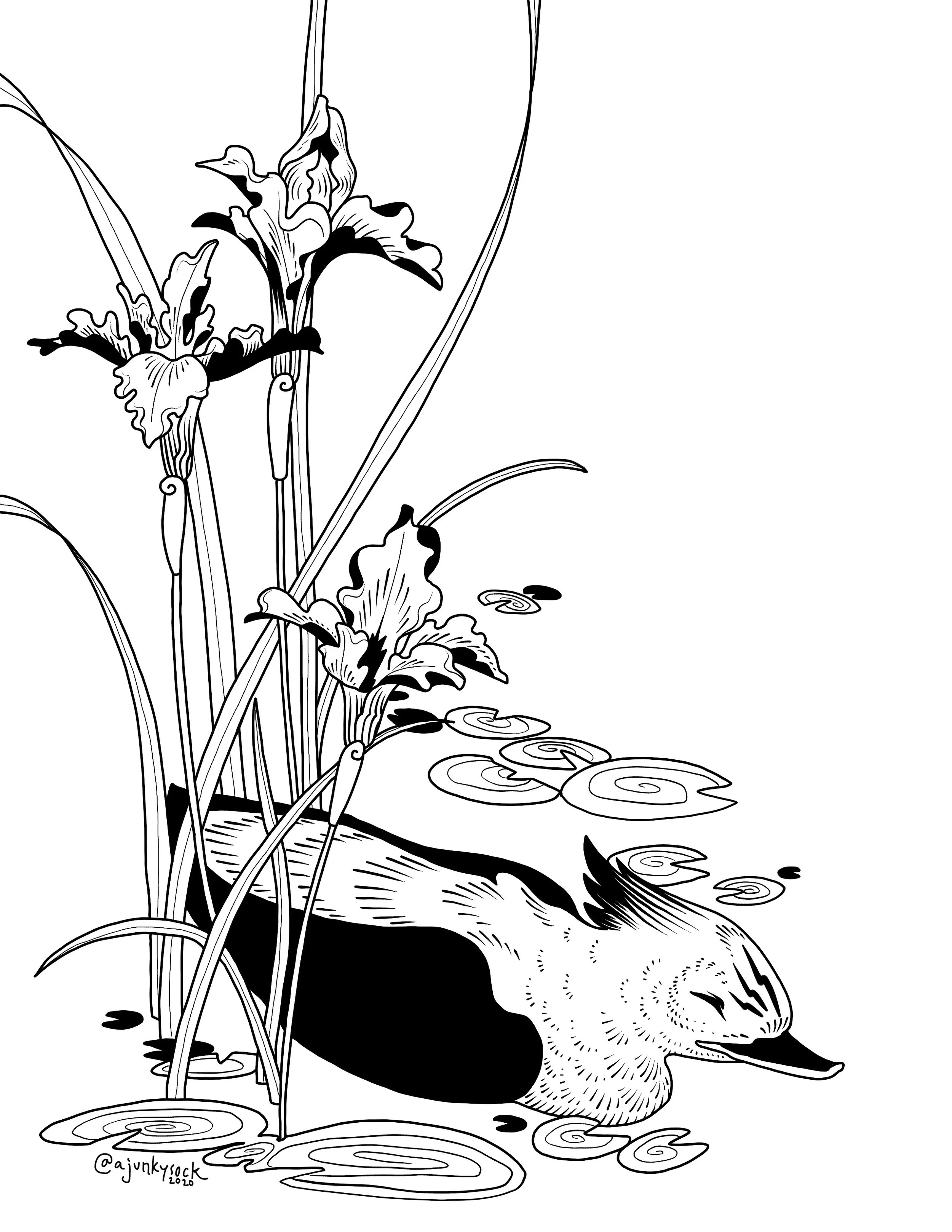 Duck & Irises