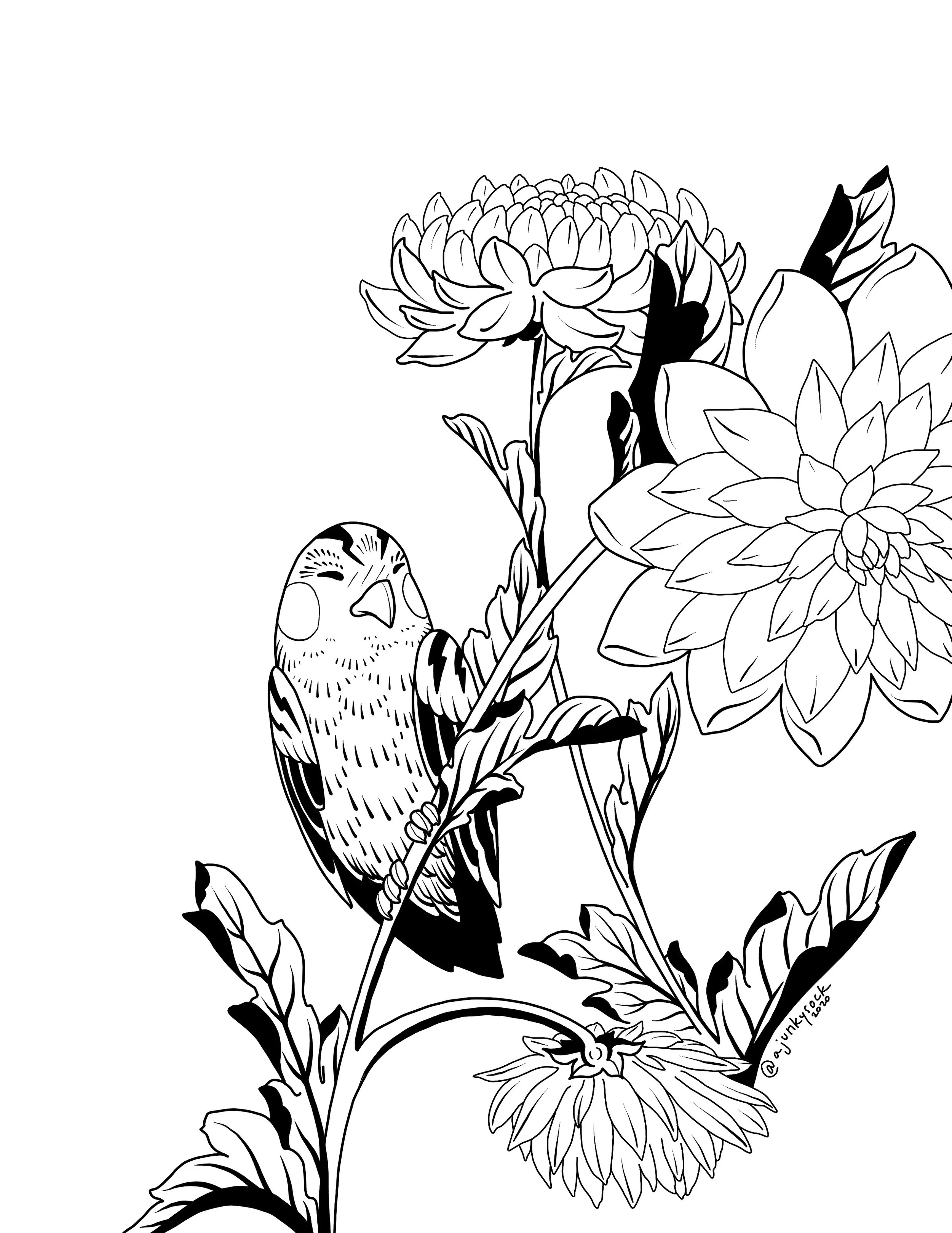 Finch & Dahlias