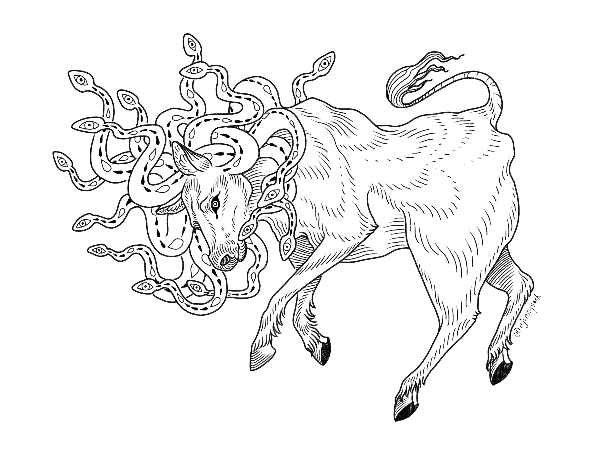 Medusa Bull