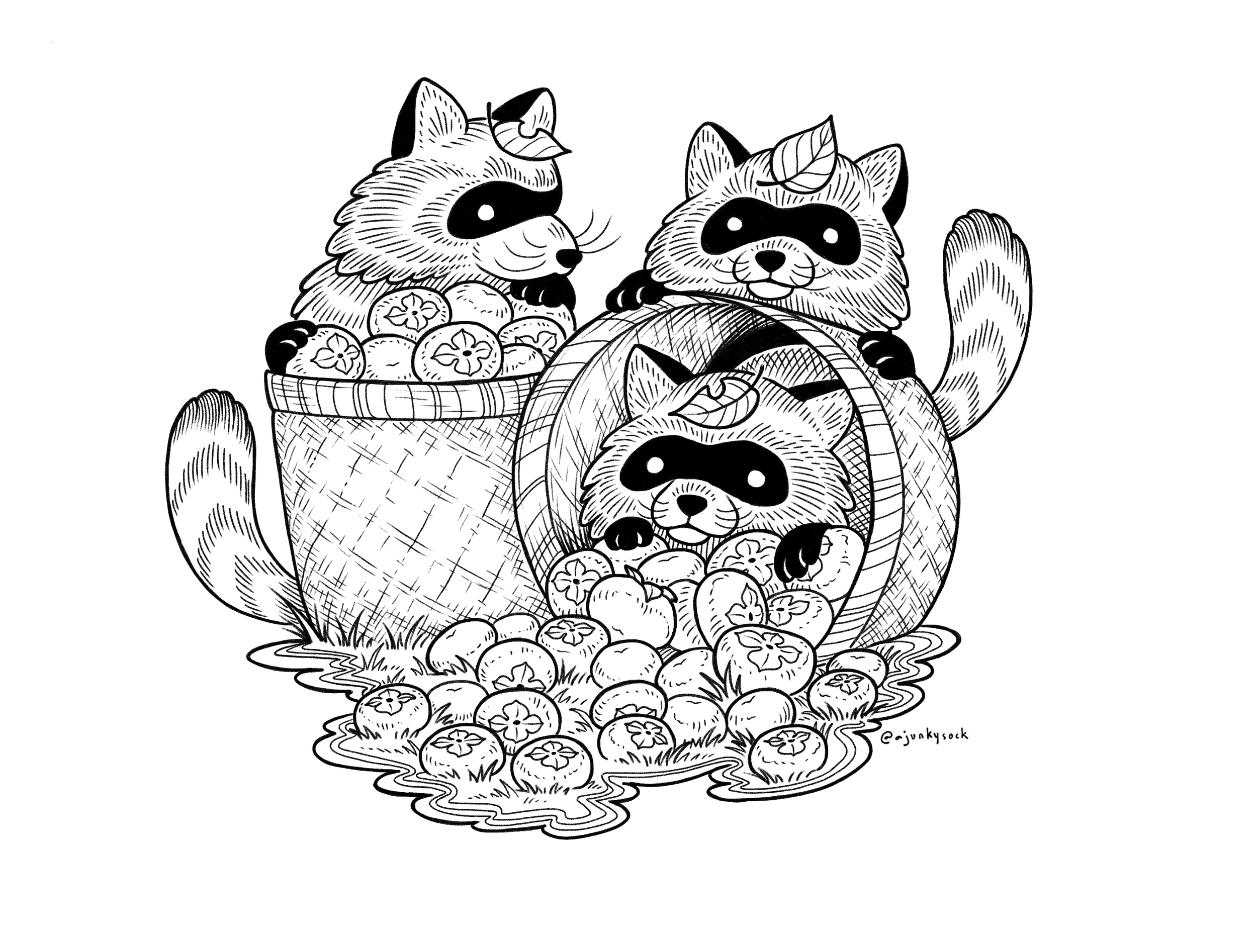 Persimmon Raccoons