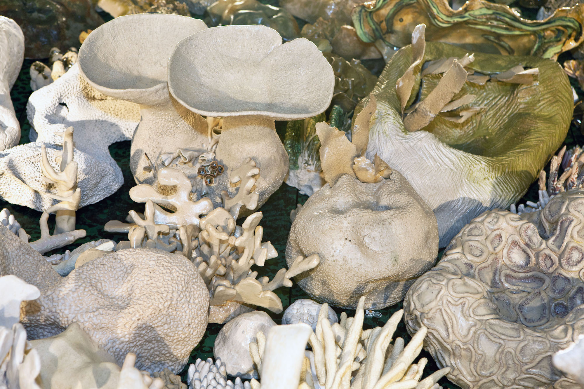 OurChangingSeasI-Bleached2-©DerekParks copy.jpg