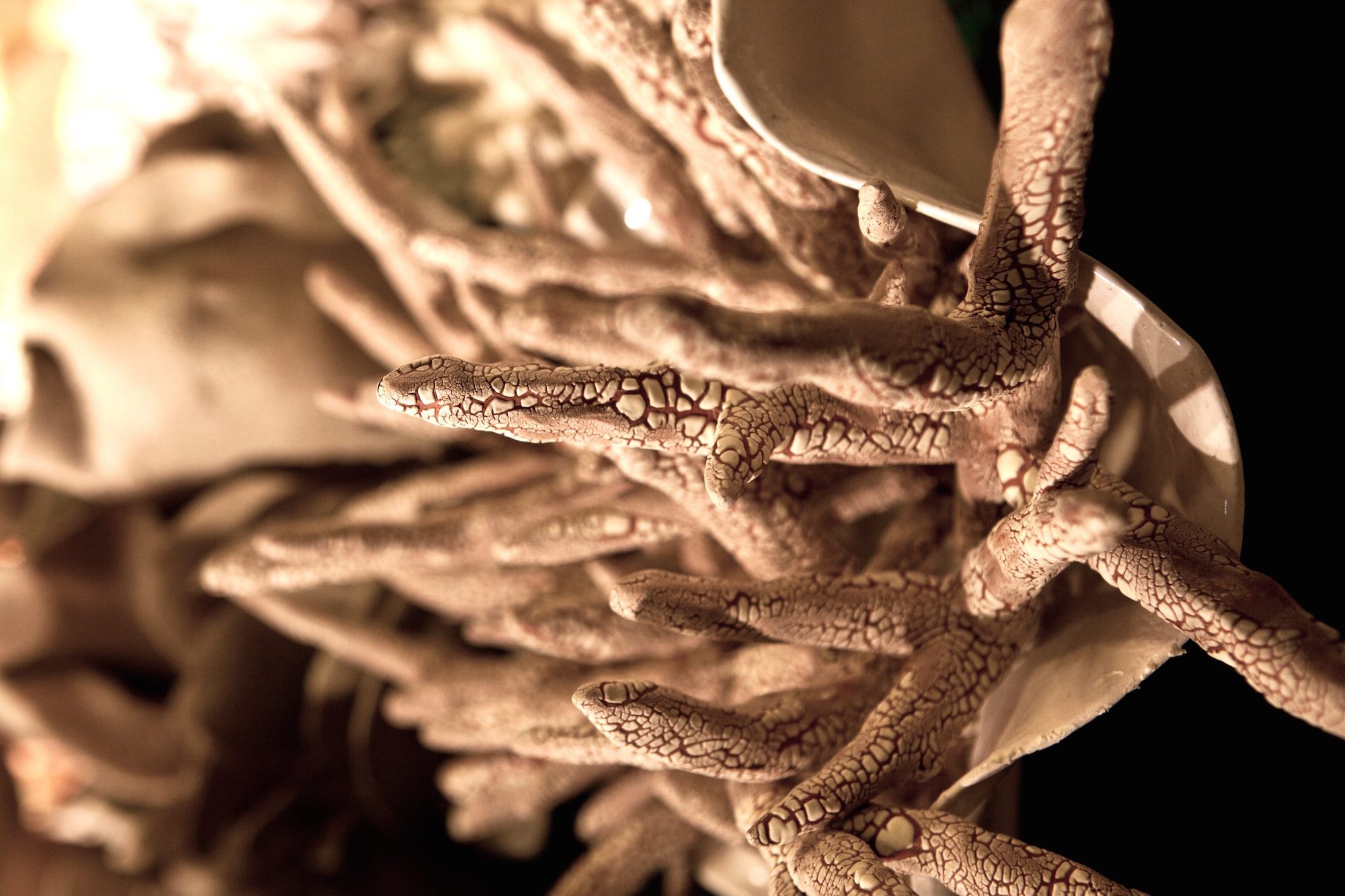 OurChangingSeasI-Bleached-©DerekParks copy.jpg