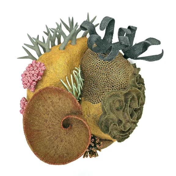 Coral Triangle 2