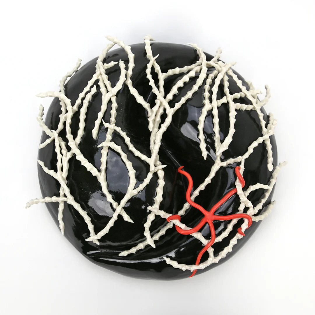 Charlie-Gibbs Fracture Zone 5