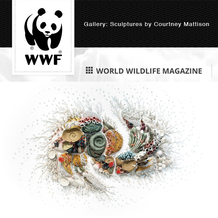 WWF-2021.jpg