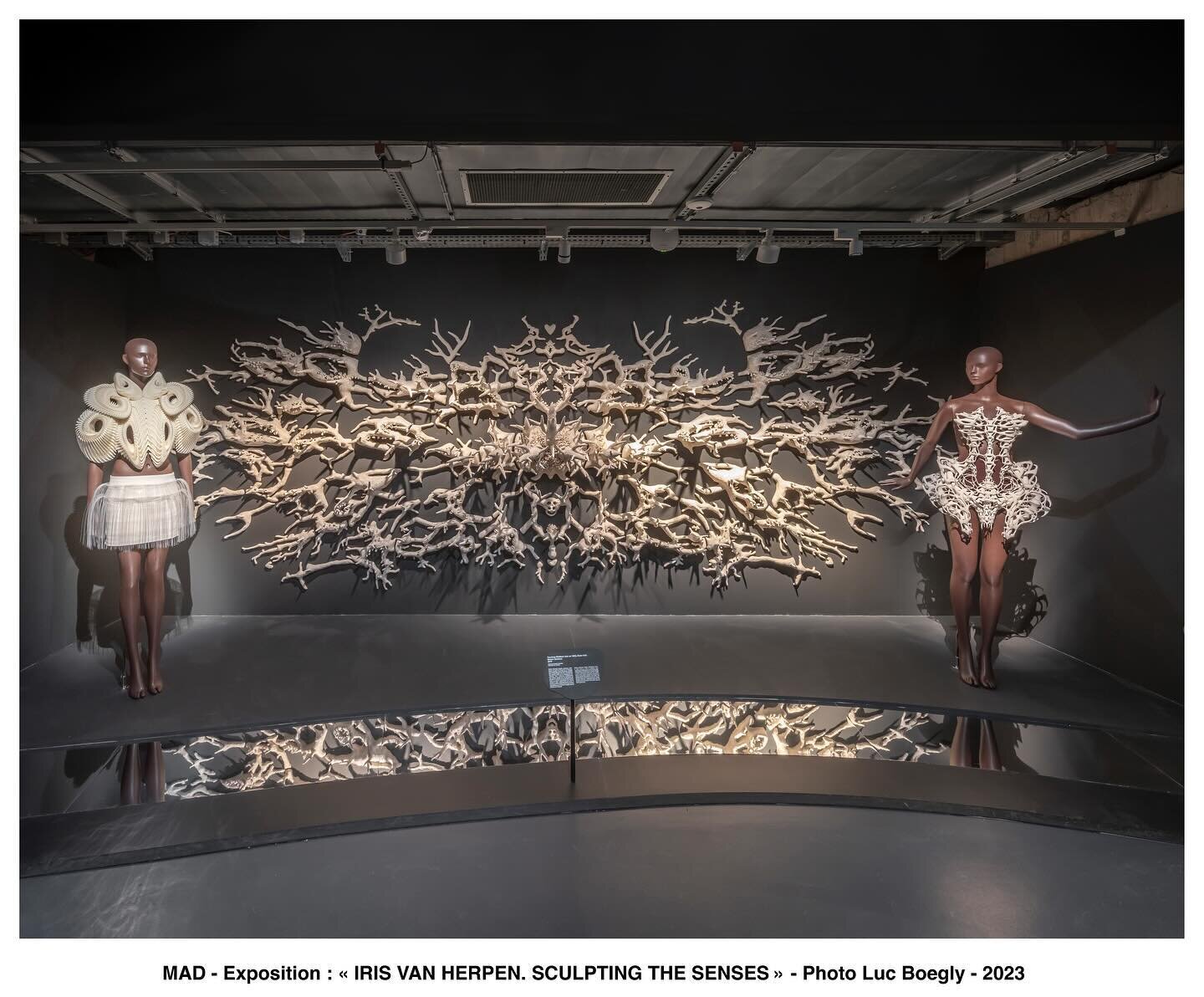 It&rsquo;s such an honor to have my work MALUM GEMINOS at the Mus&eacute;e des Arts D&eacute;coratifs (next to the Louvre) as part of Iris Van Herpen&rsquo;s incredible fashion retrospective SCULPTING THE SENSES, open through 28 April 2024 ✨ &bull; n