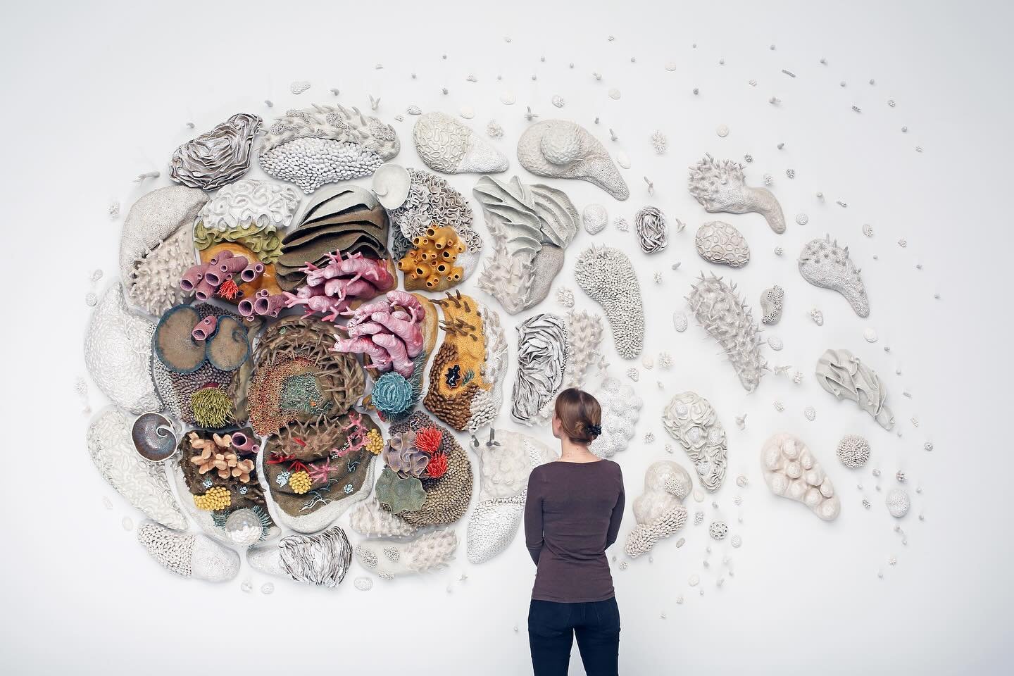 it&rsquo;s been a wild 10 years since I first debuted OUR CHANGING SEAS III at the @tangteachingmuseum in 2014 and the wonderful folks at @colossal shared it for EARTH DAY 🌏 &bull; in that time there have been 2 global coral bleaching events caused 