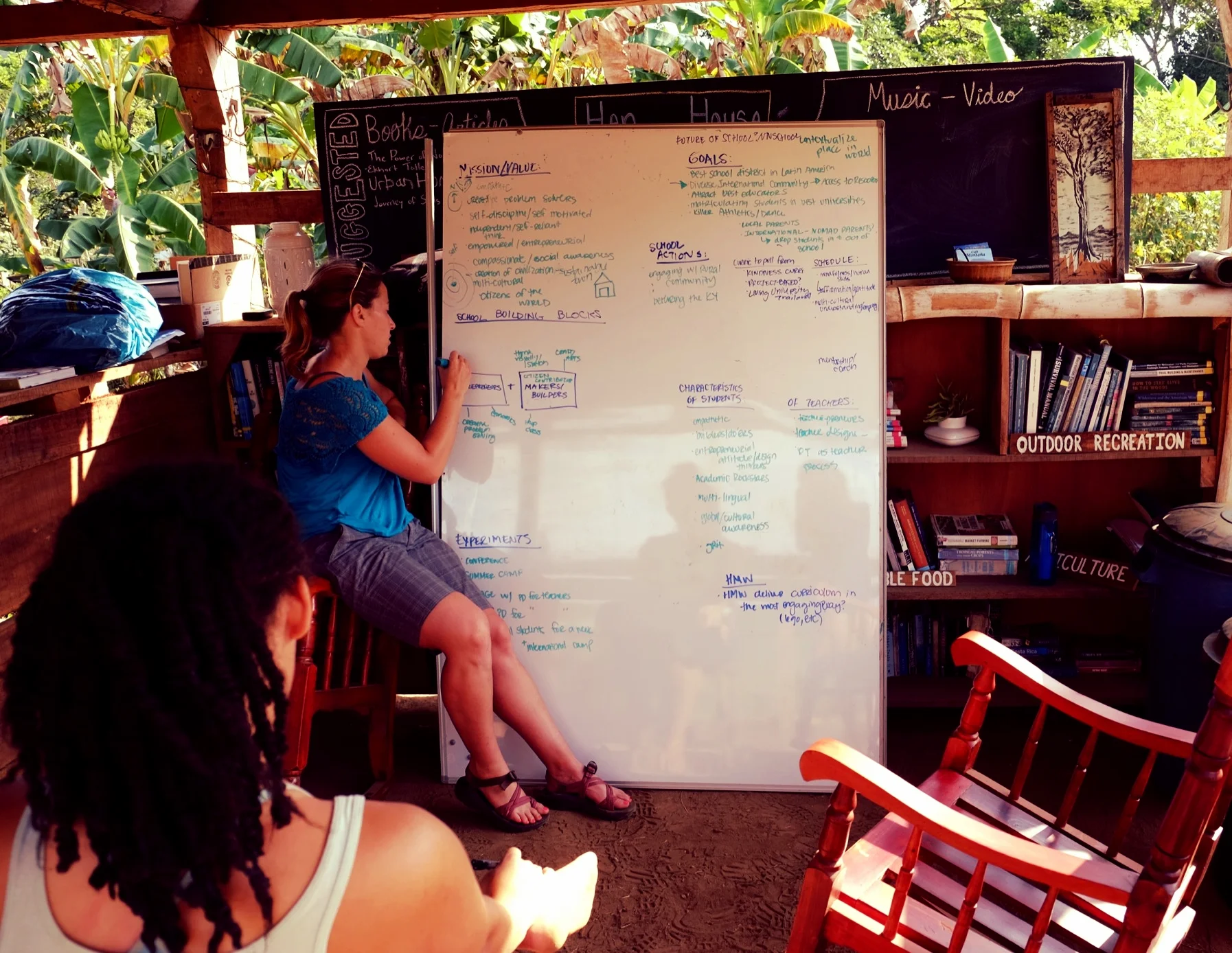 Education Jungle-Style