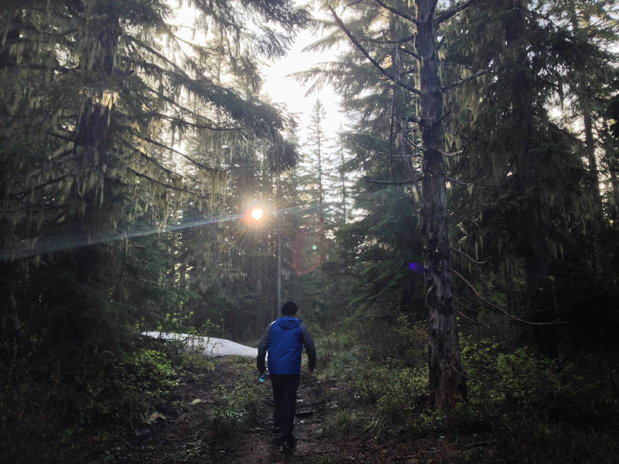 "No Ticket to Travel" for Woodland (Dir. and Photo by Amit Gupta, Original Score Leah Curtis).