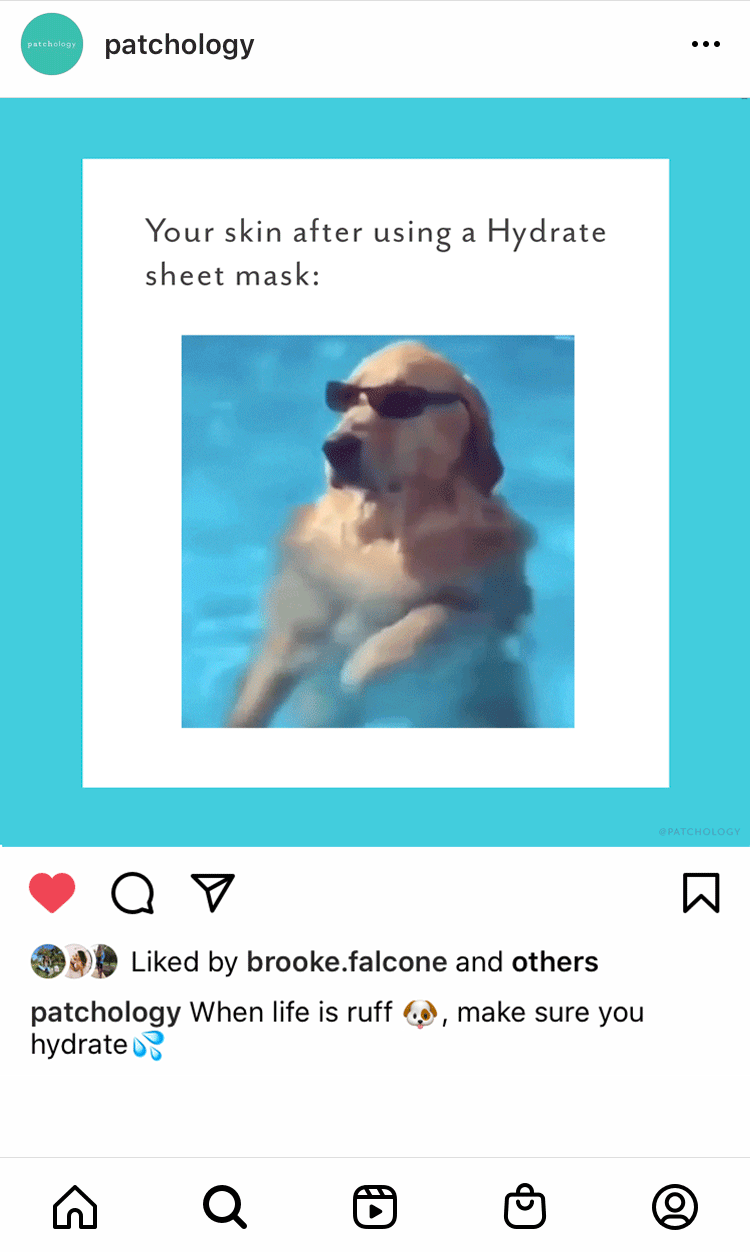 social-infeed-dog.gif