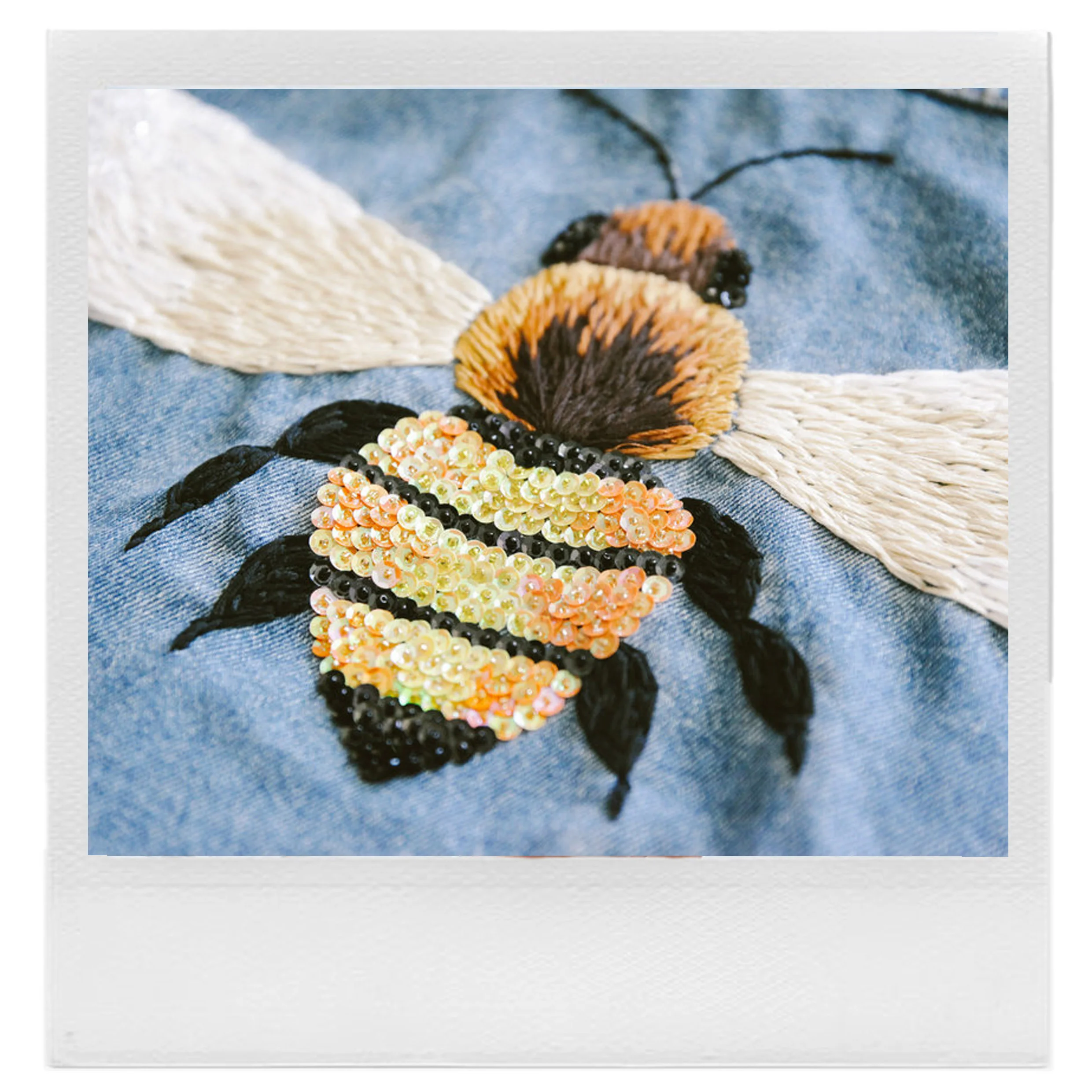 1 Bee 2.jpg