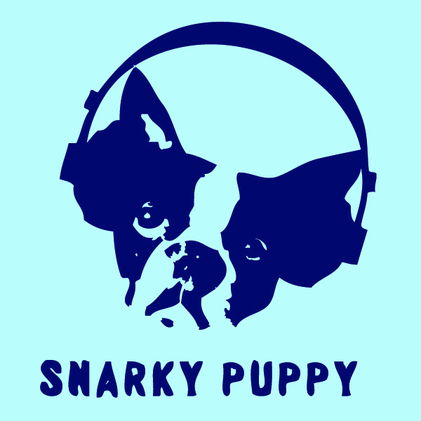 Snarky Puppy Music . com