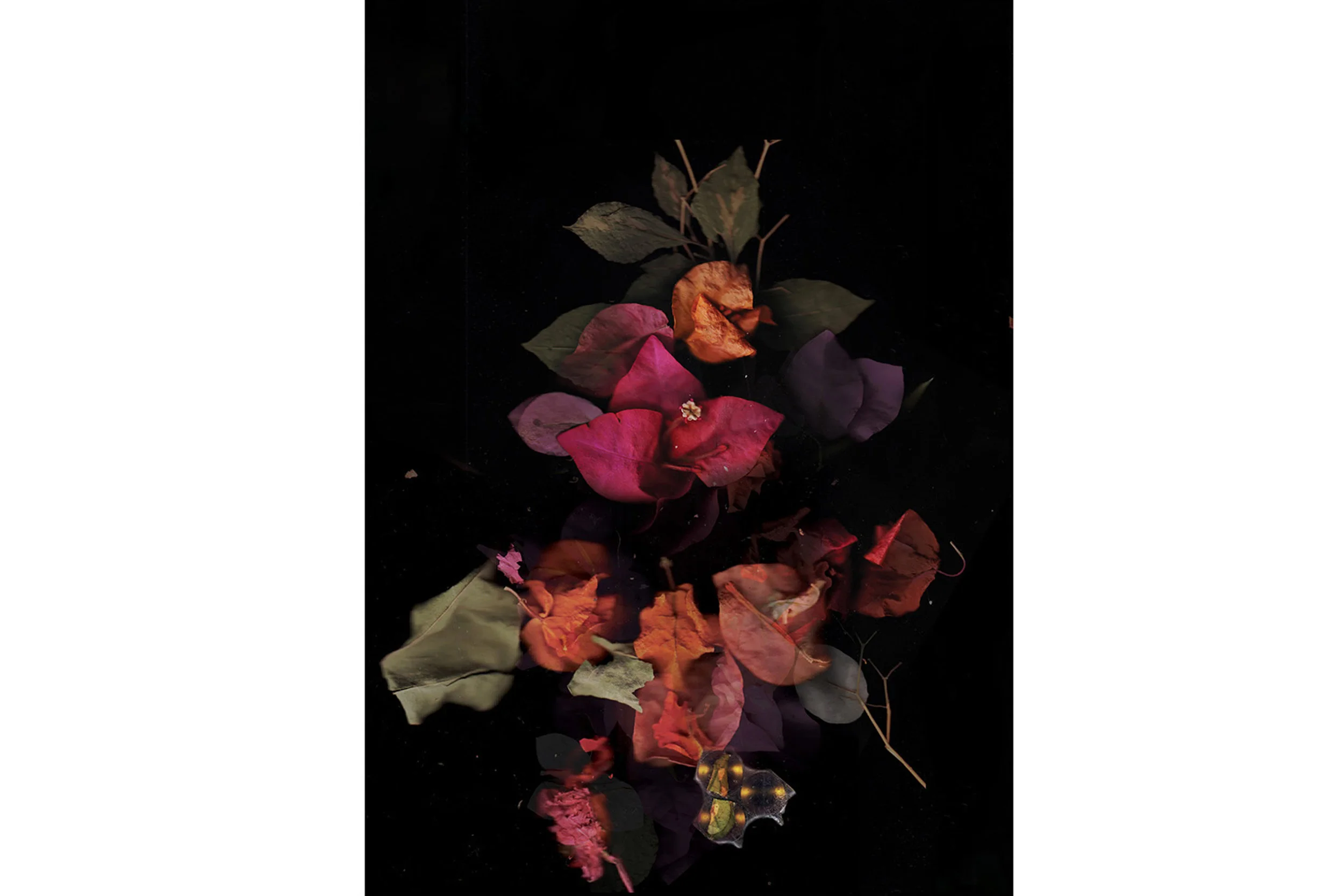 The winner of the Imran Mir Art Prize exhibits her latest work